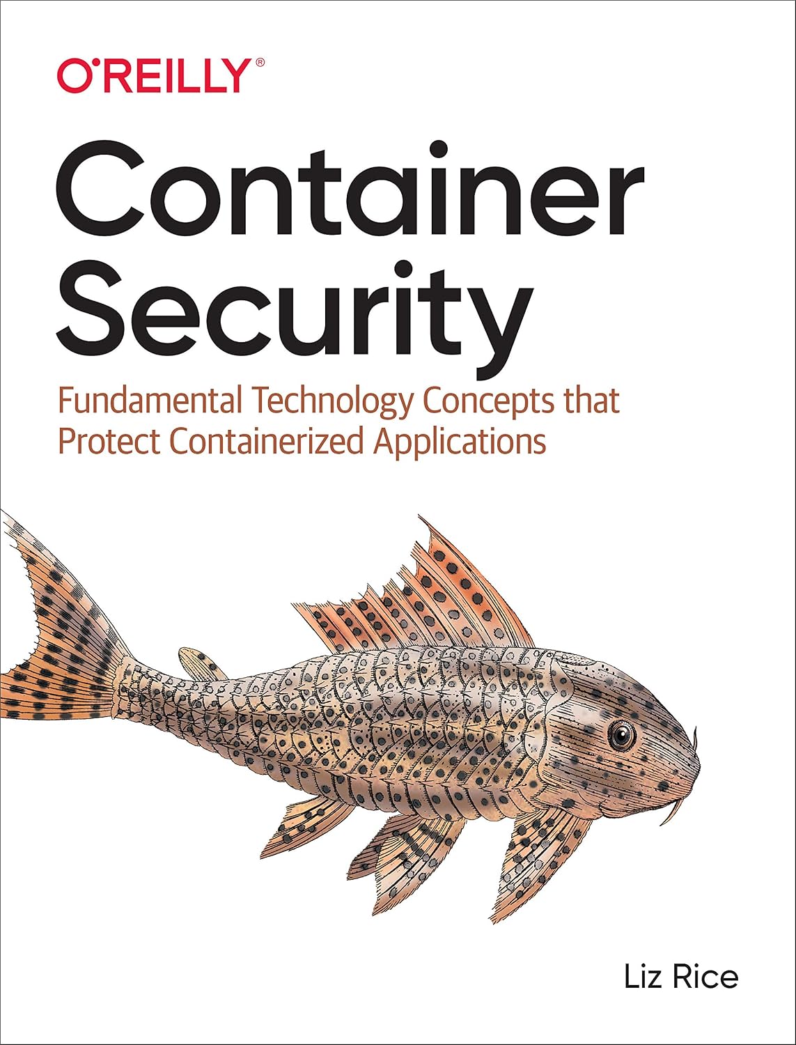 Container Security: Fundamental Technology Concepts that Protect Containerized Applications baixar livro de graça