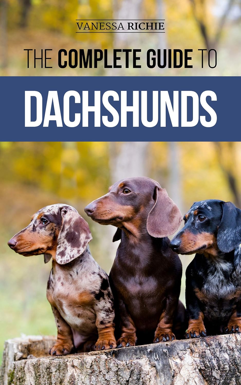 ler totalmente The Complete Guide to Dachshunds: Finding, Feeding, Training, Caring For, Socializing, and Loving Your New Dachshund Puppy (English Edition)