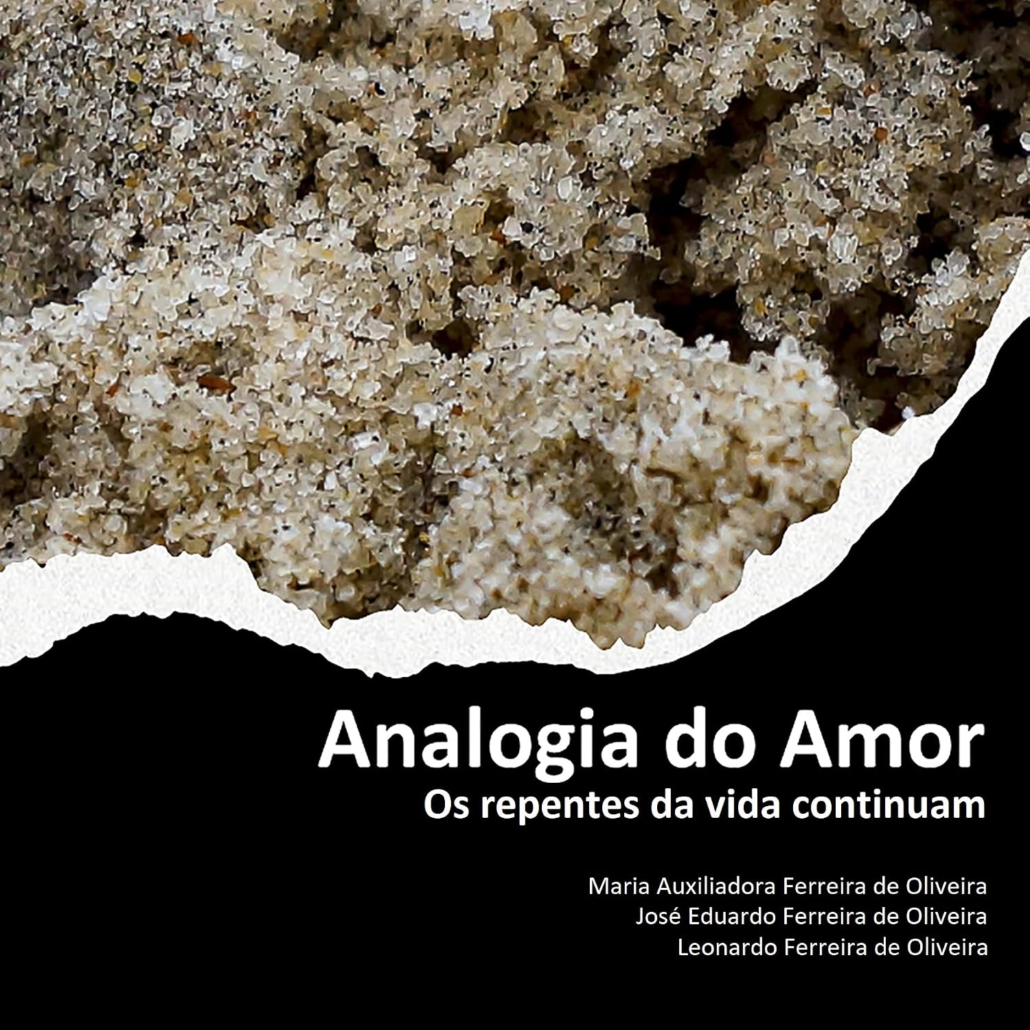 Analogia do Amor: Os repentes da vida continuam baixar livro de graça
