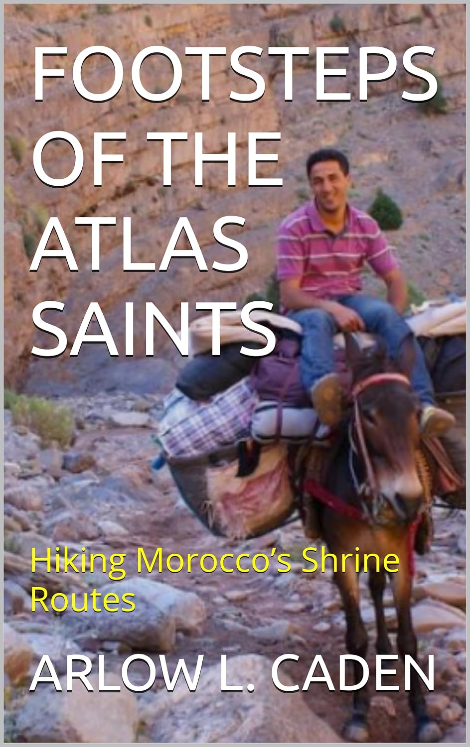 FOOTSTEPS OF THE ATLAS SAINTS: Hiking Morocco’s Shrine Routes (English Edition) baixar o livro de graça