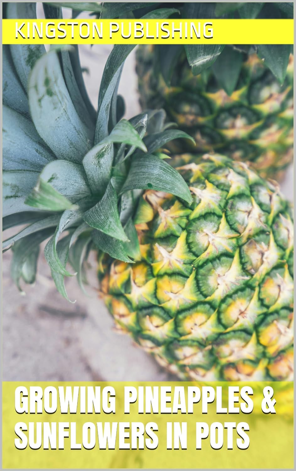 Growing Sweet Pineapples & Cheerful Sunflowers in Pots (Patio Gardening) (English Edition) baixar livro de graça