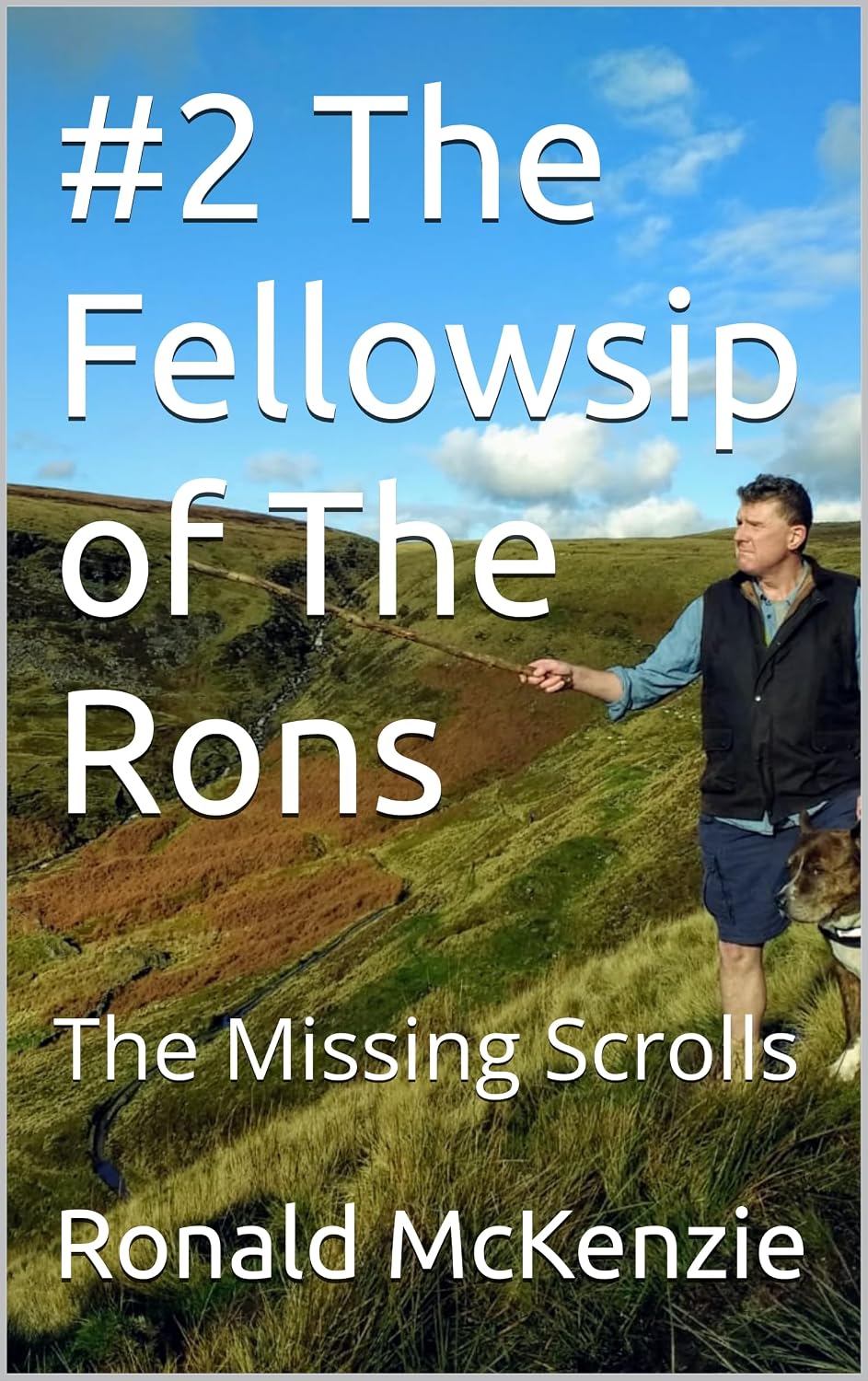 #2 The Fellowsip of The Rons: The Missing Scrolls (The Chronic Chronicles of The Rons) (English Edition) baixar o livro de graça