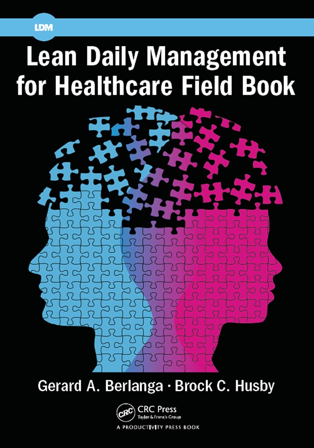 Lean Daily Management for Healthcare Field Book (English Edition) baixar o livro de graça