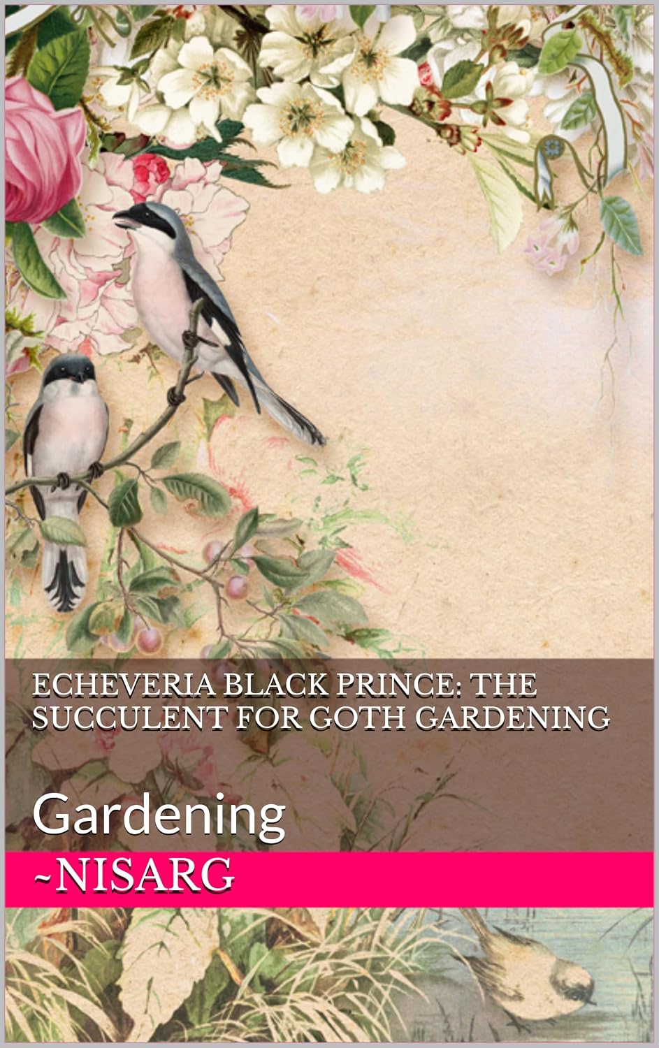 Echeveria Black Prince: The Succulent for Goth Gardening: Gardening (Ultimate Garden Guide) (English Edition) baixar livro de graça