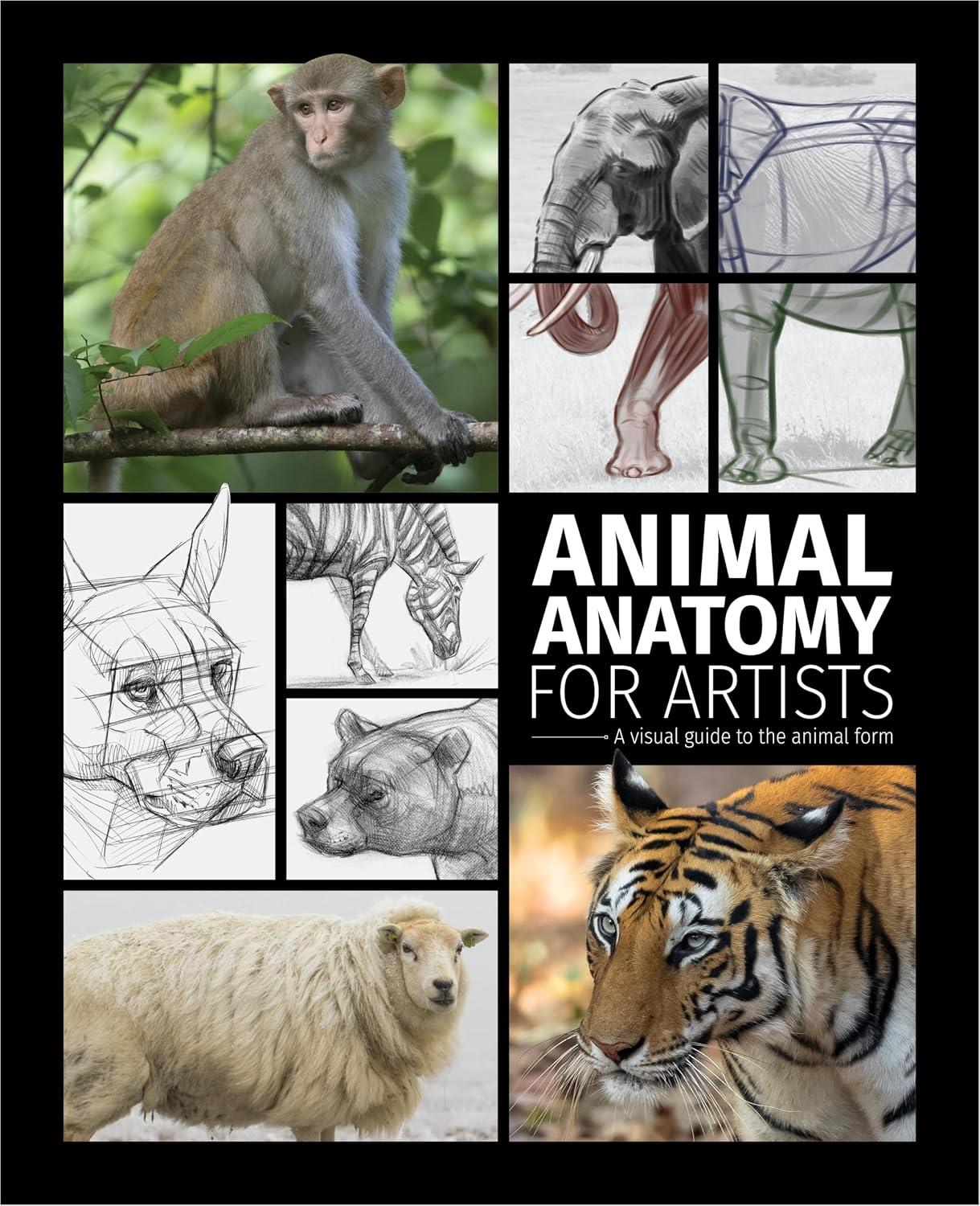 ler totalmente Animal Anatomy for Artists: A Visual Guide to the Animal Form