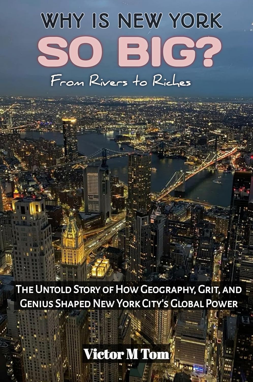 ler totalmente WHY IS NEW YORK SO BIG?:From Rivers to Riches: The Untold Story of How Geography, Grit, and Genius Shaped New York City’s Global Power (Exploring the Past,... Global Power and Progress) (English Edition)