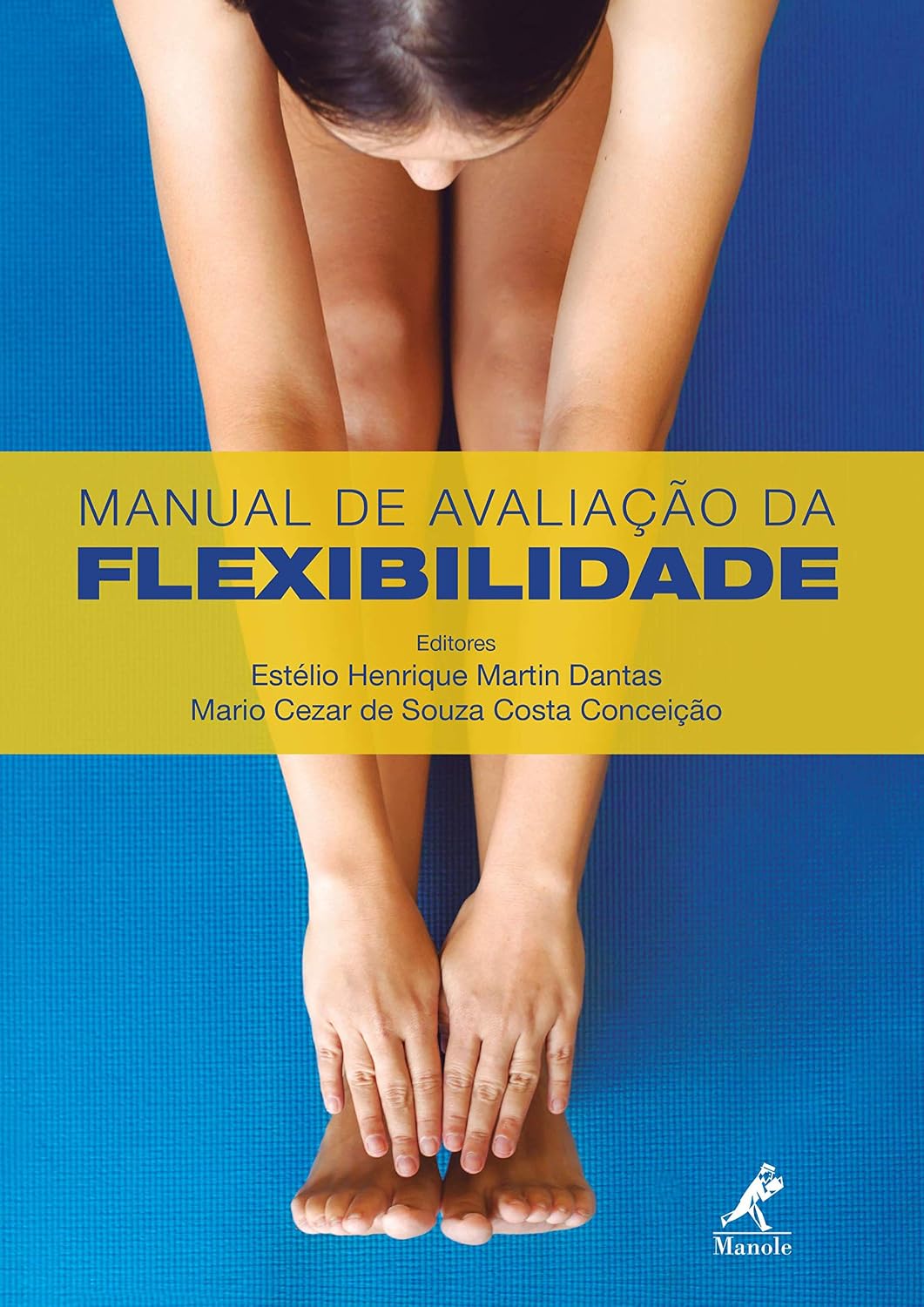 Manual de Avaliação da Flexibilidade baixar livro de graça