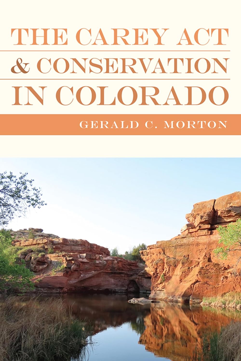 Carey Act and Conservation in Colorado (English Edition) baixar o livro de graça