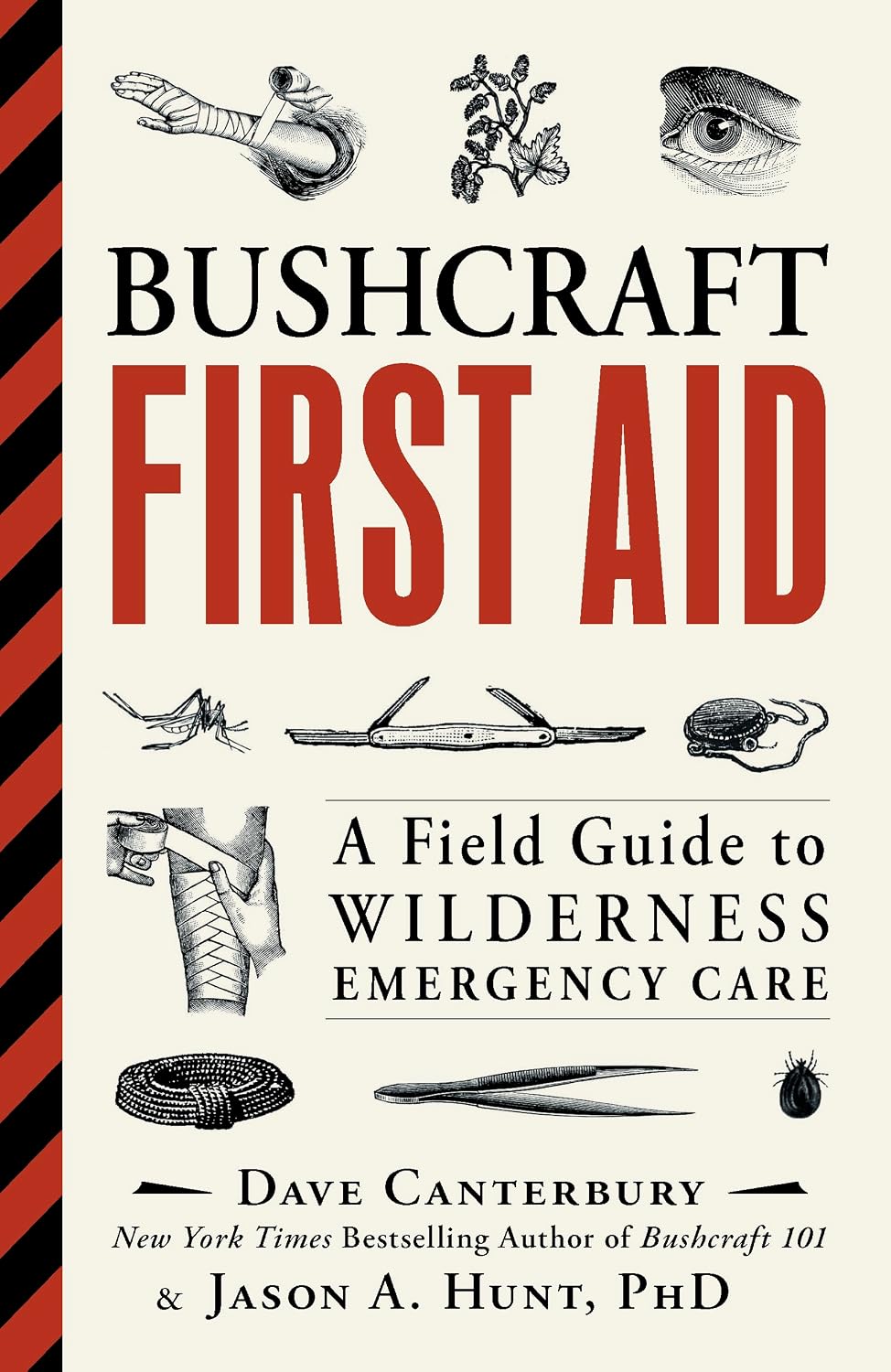 Bushcraft First Aid: A Field Guide to Wilderness Emergency Care baixar livro de graça