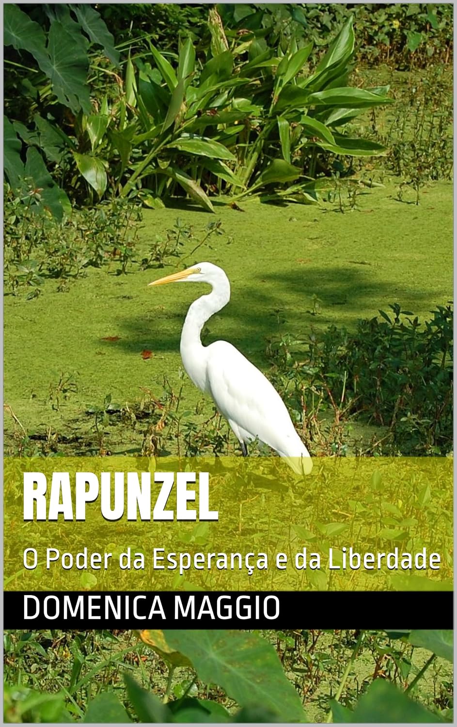 capítulo por capítulo baixar Rapunzel: O Poder da Esperança e da Liberdade