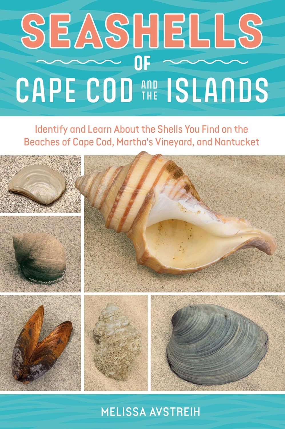 Seashells of Cape Cod and the Islands: Identify and Learn About the Shells You Find on the Beaches of Cape Cod, Martha's Vineyard, and Nantucket (English Edition)