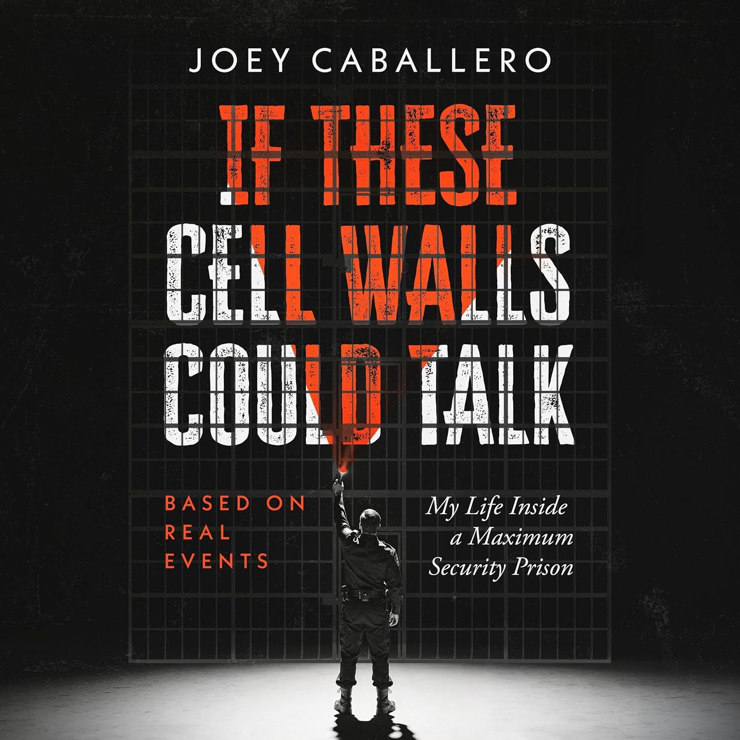 If These Cell Walls Could Talk: My Life Inside a Maximum Security Prison baixar o livro de graça