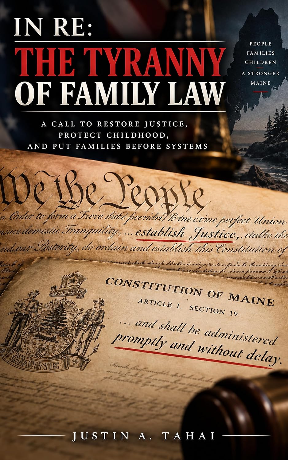 ler totalmente IN RE: THE TYRANNY OF FAMILY LAW: A Call to Restore Justice, Protect Childhood, and Put Families Before Systems (NO "MOORE" HARM Book 2) (English Edition)