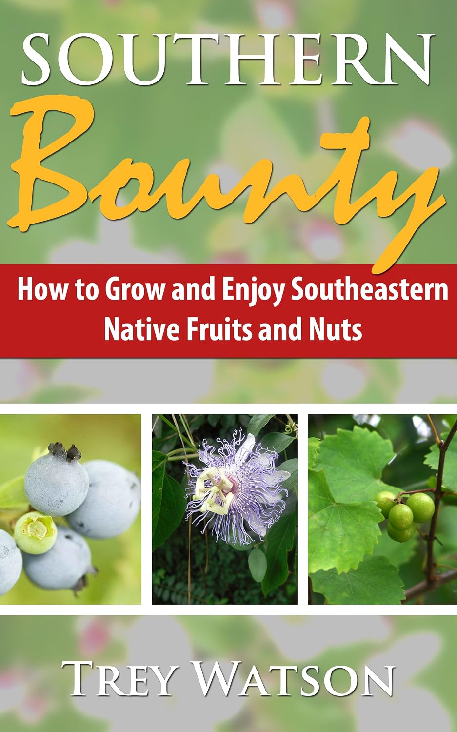 capítulo por capítulo baixar Southern Bounty: How to Grow and Enjoy Southeastern Native Fruits and Nuts (English Edition)