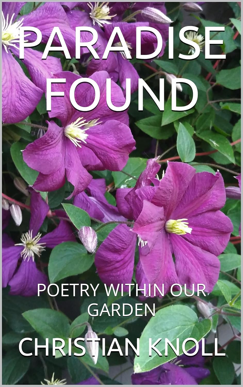 ler totalmente PARADISE FOUND: POETRY WITHIN OUR GARDEN (English Edition)