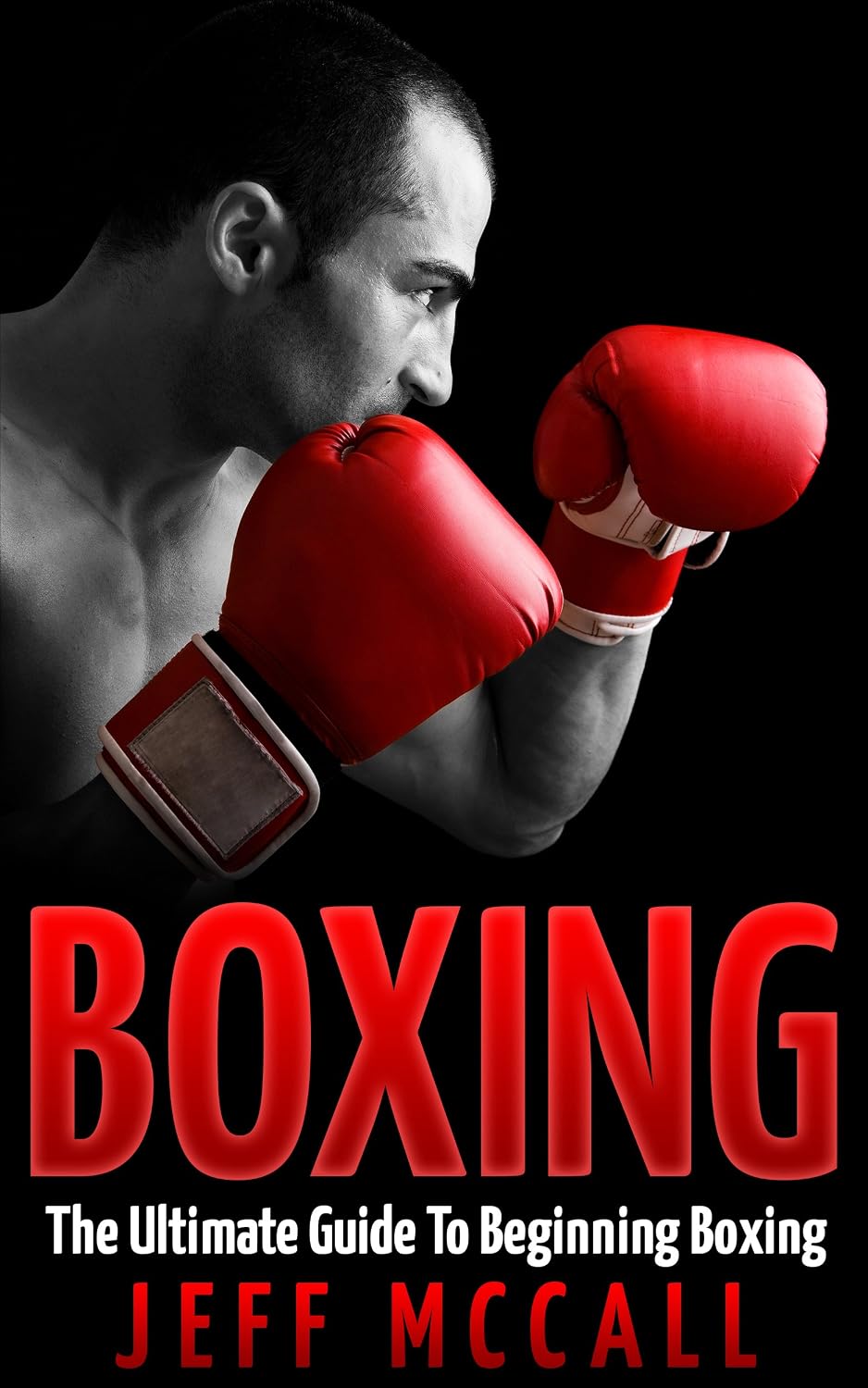 ler totalmente Boxing: The Ultimate Guide To Beginning Boxing (Martial Arts - MMA, Mixed Martial Arts, Grappling, Brazilian Jiu Jitsu) (English Edition)
