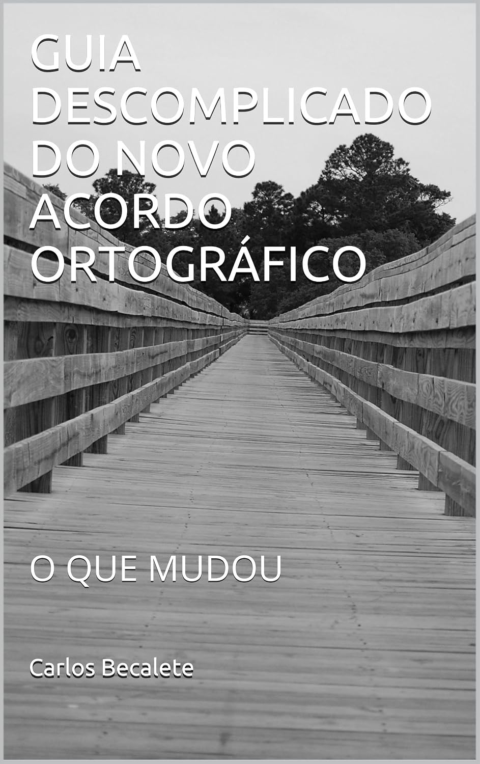 GUIA DESCOMPLICADO DO NOVO ACORDO ORTOGRÁFICO: O QUE MUDOU baixar livro de graça