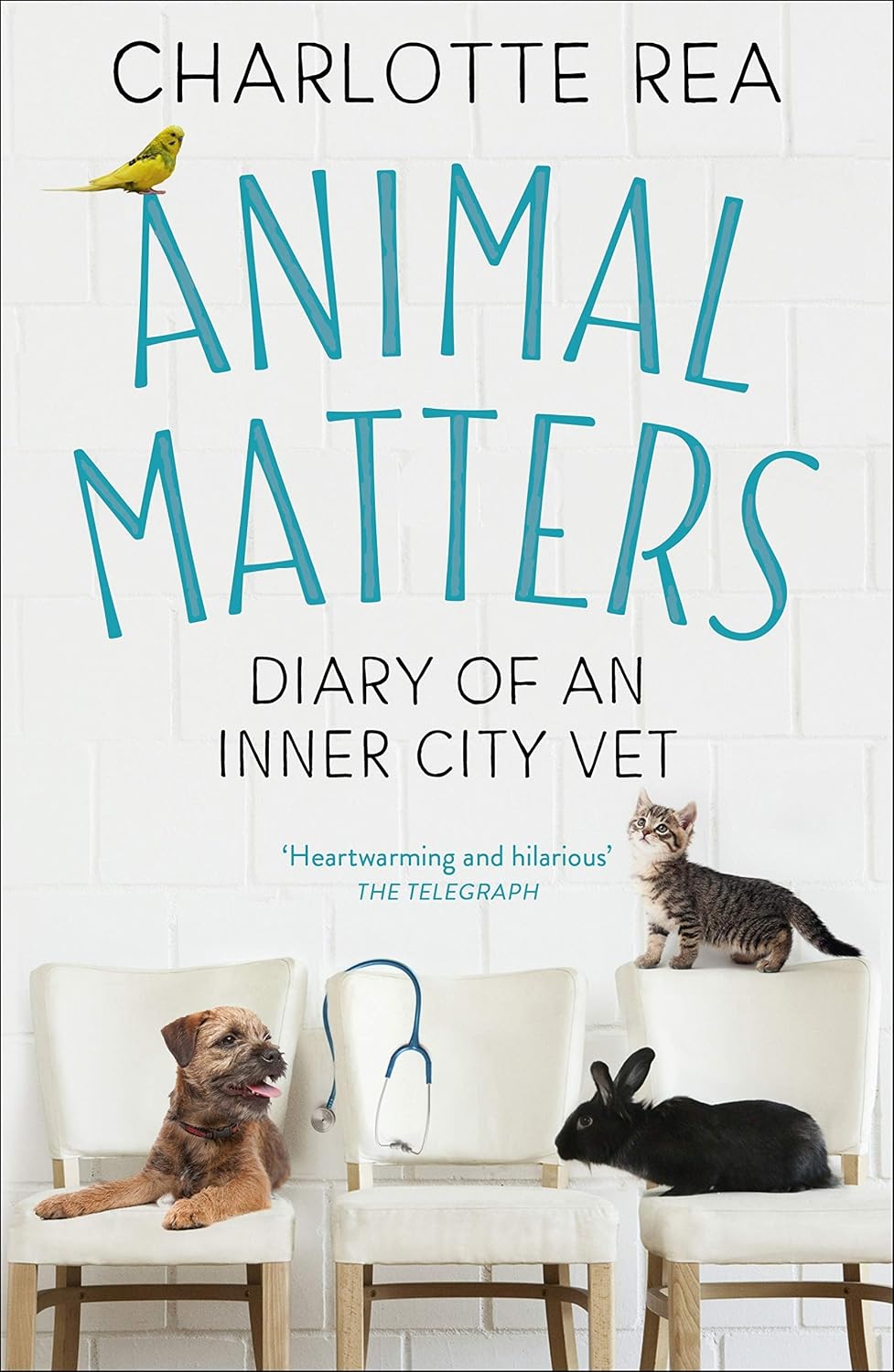 Animal Matters: Diary of an Inner City Vet (English Edition)