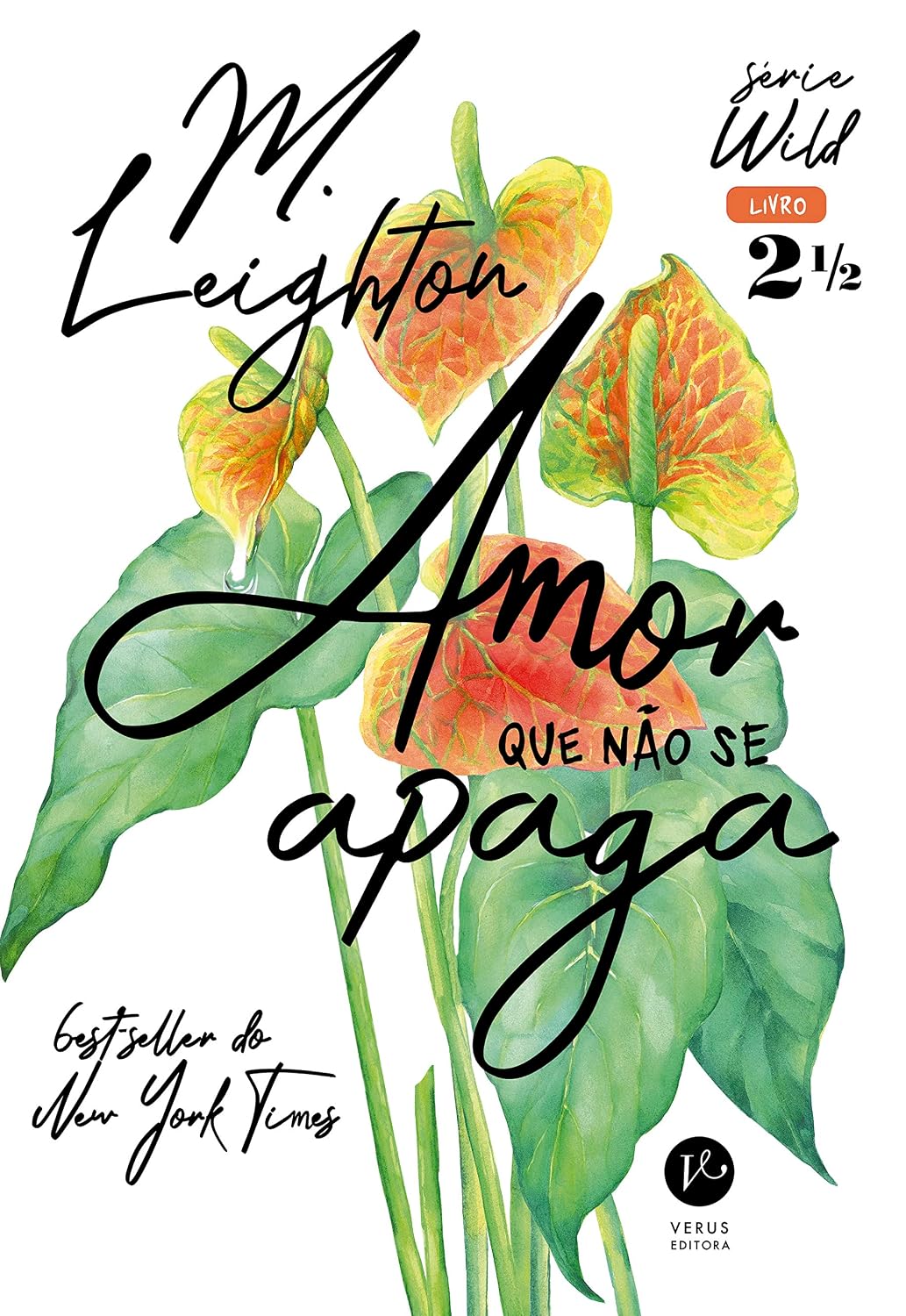 Amor que não se apaga (Vol. 2,5 Wild) baixar o livro de graça