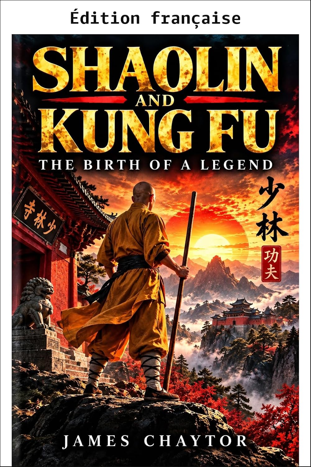 Shaolin et le kung-fu: la naissance d'une légende (French Edition) baixar o livro de graça