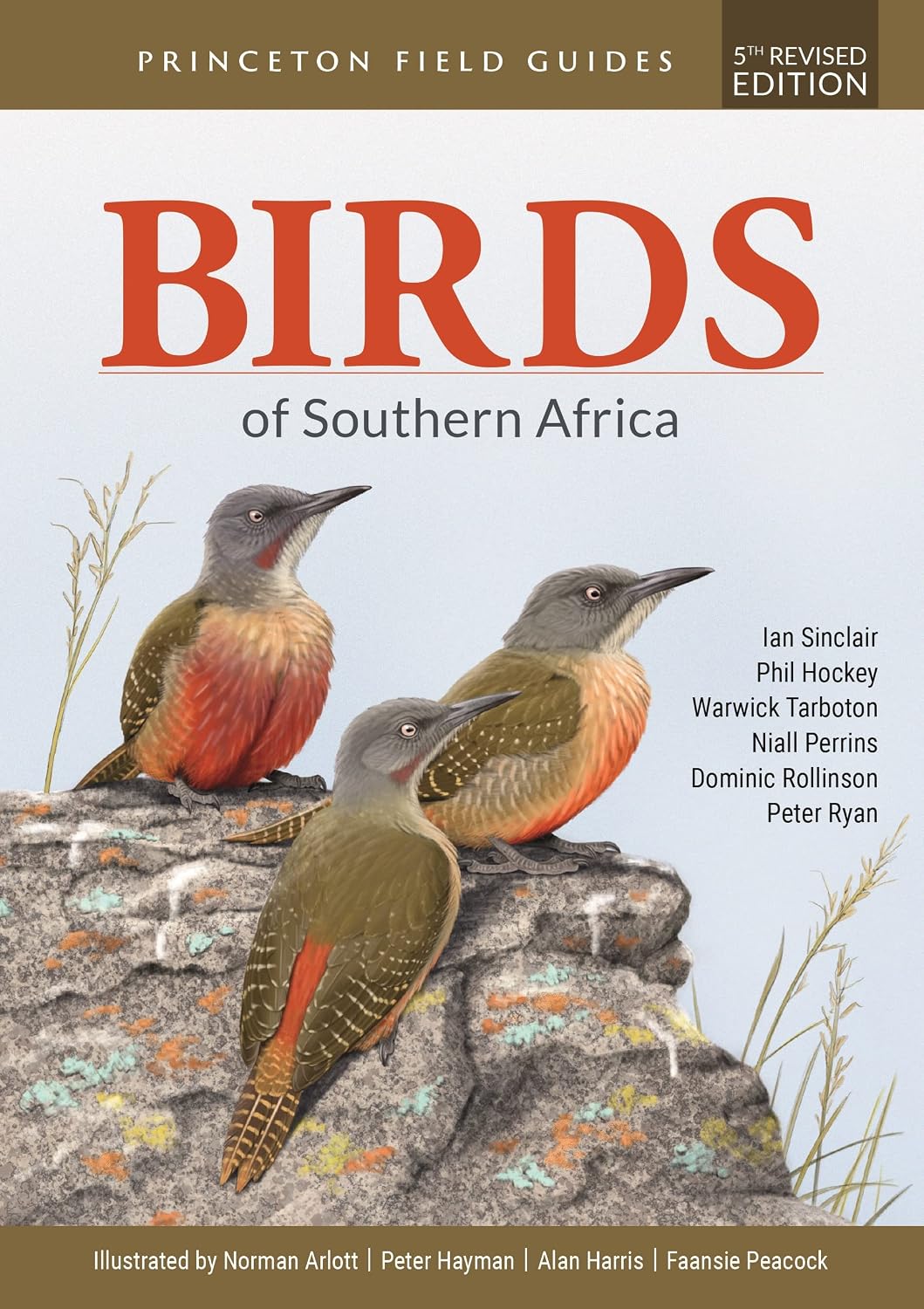 capítulo por capítulo baixar Birds of Southern Africa: Fifth Revised Edition: 159