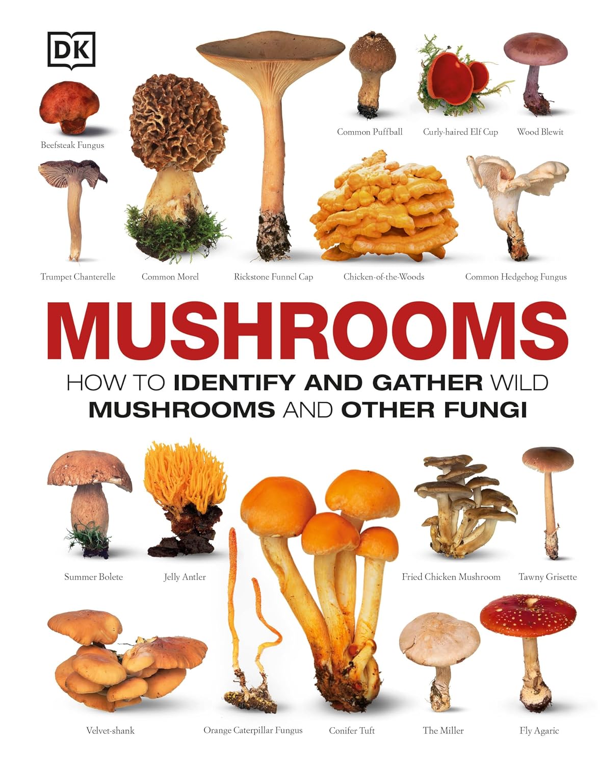 capítulo por capítulo baixar Mushrooms: How to Identify and Gather Wild Mushrooms and Other Fungi