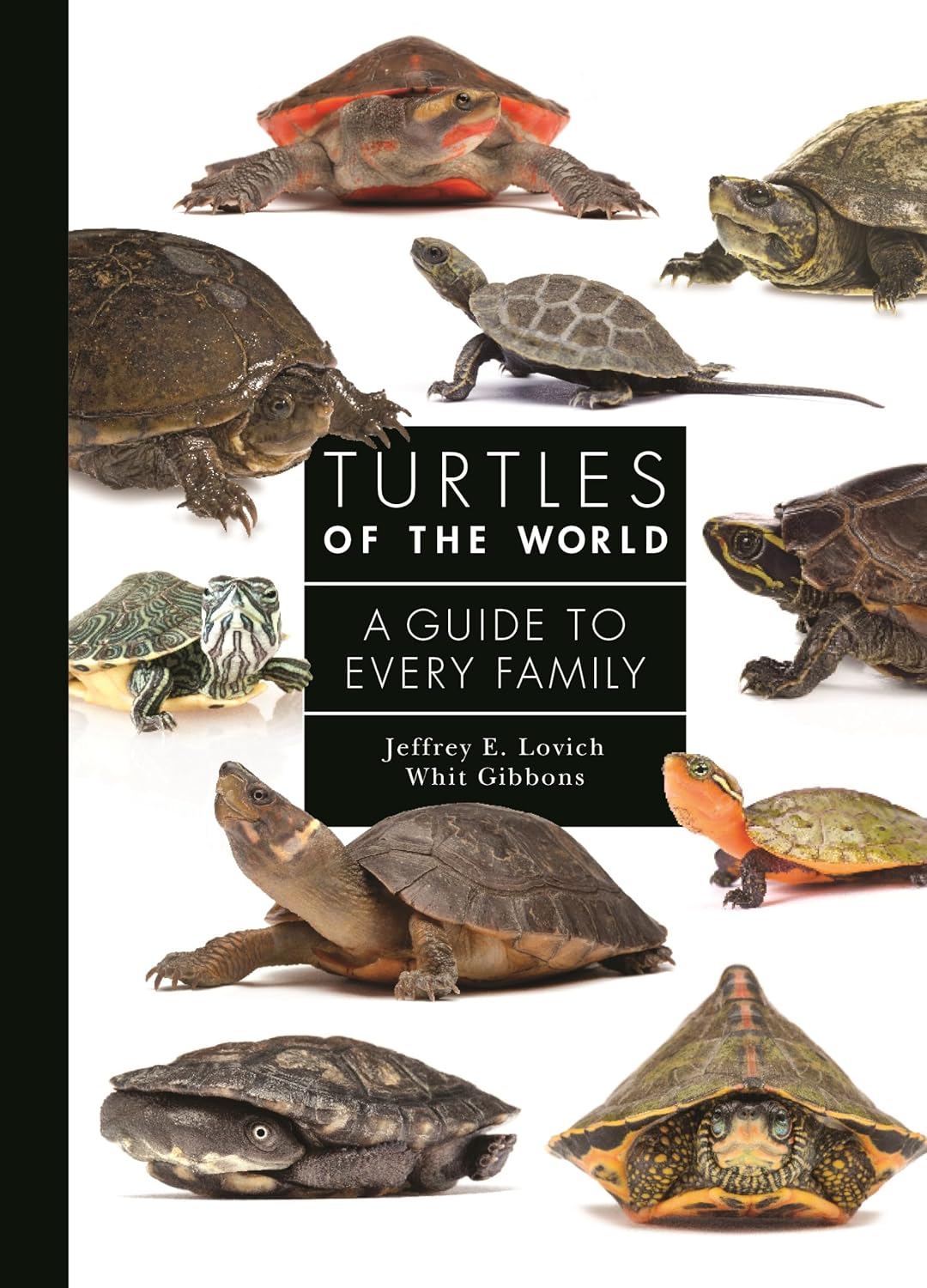 Turtles of the World: A Guide to Every Family: 3 baixar o livro de graça