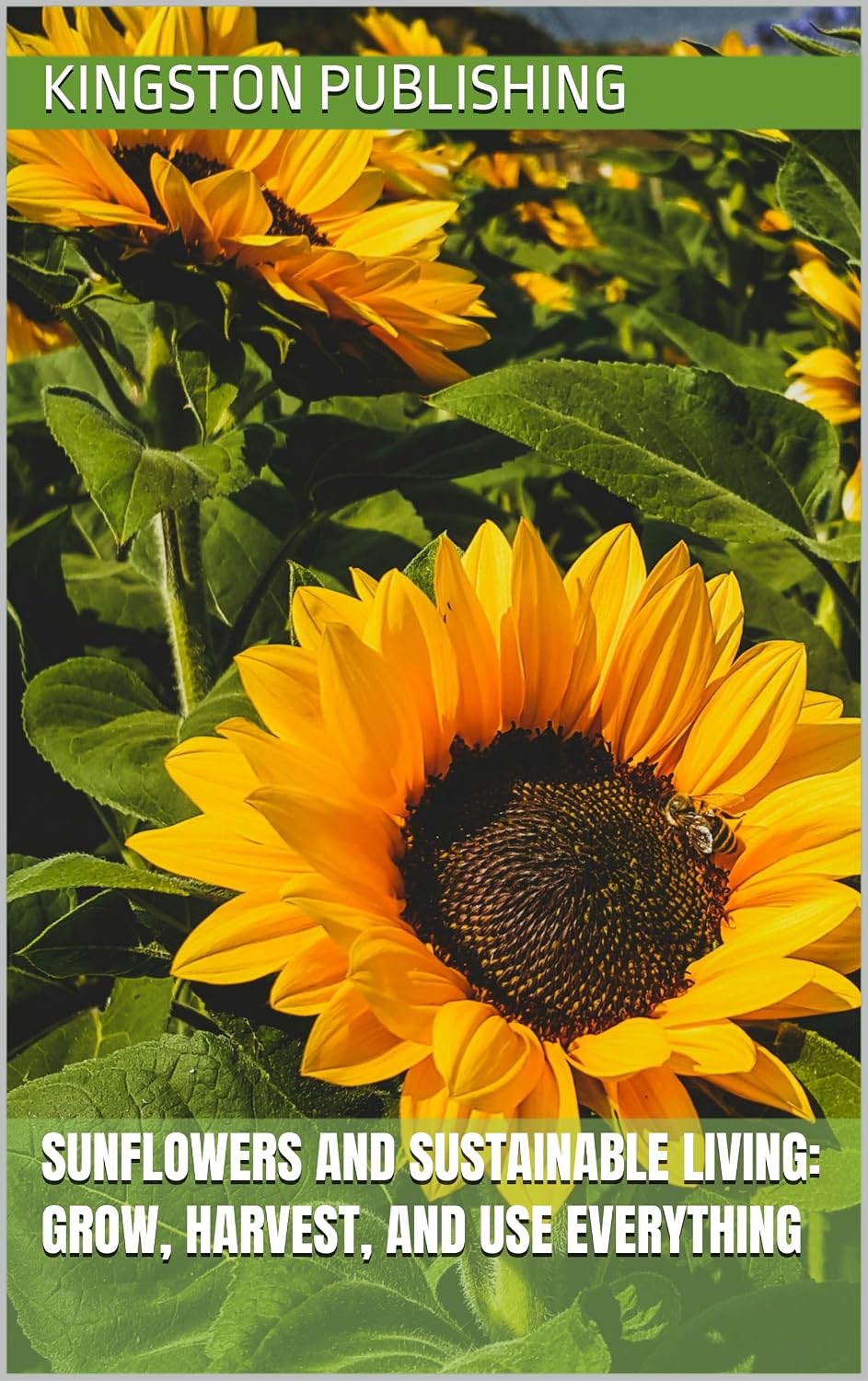 capítulo por capítulo baixar Sunflowers and Sustainable Living: Grow, Harvest, and Use Everything (Eco-Friendly Gardens) (English Edition)