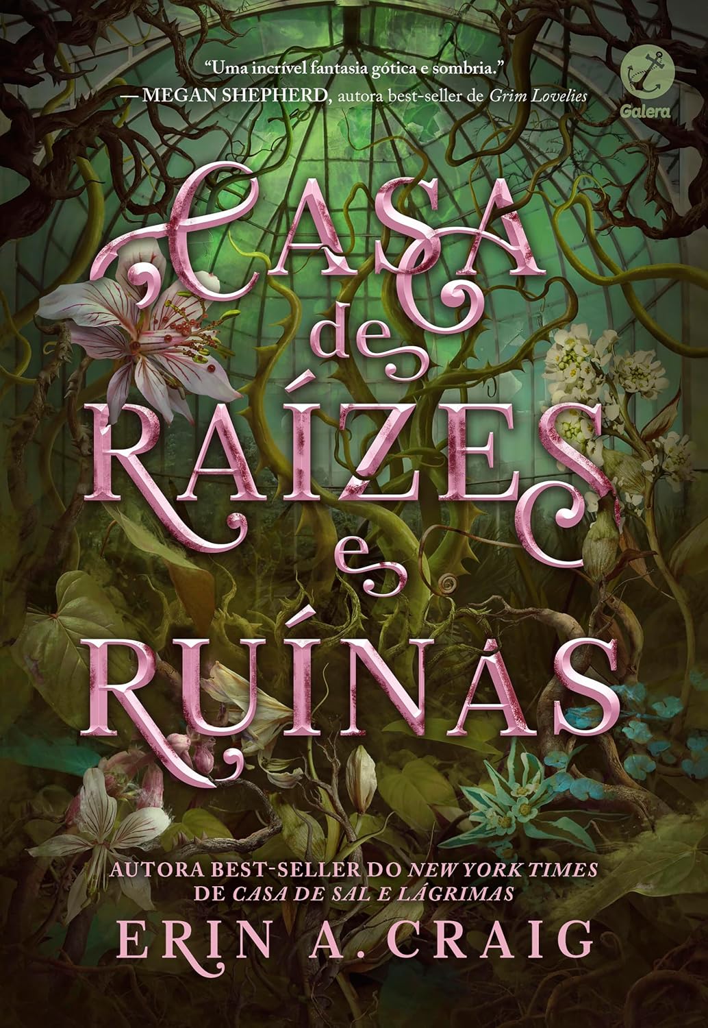 Casa de raízes e ruínas (Vol. 2 Irmãs do Sal) baixar o livro de graça