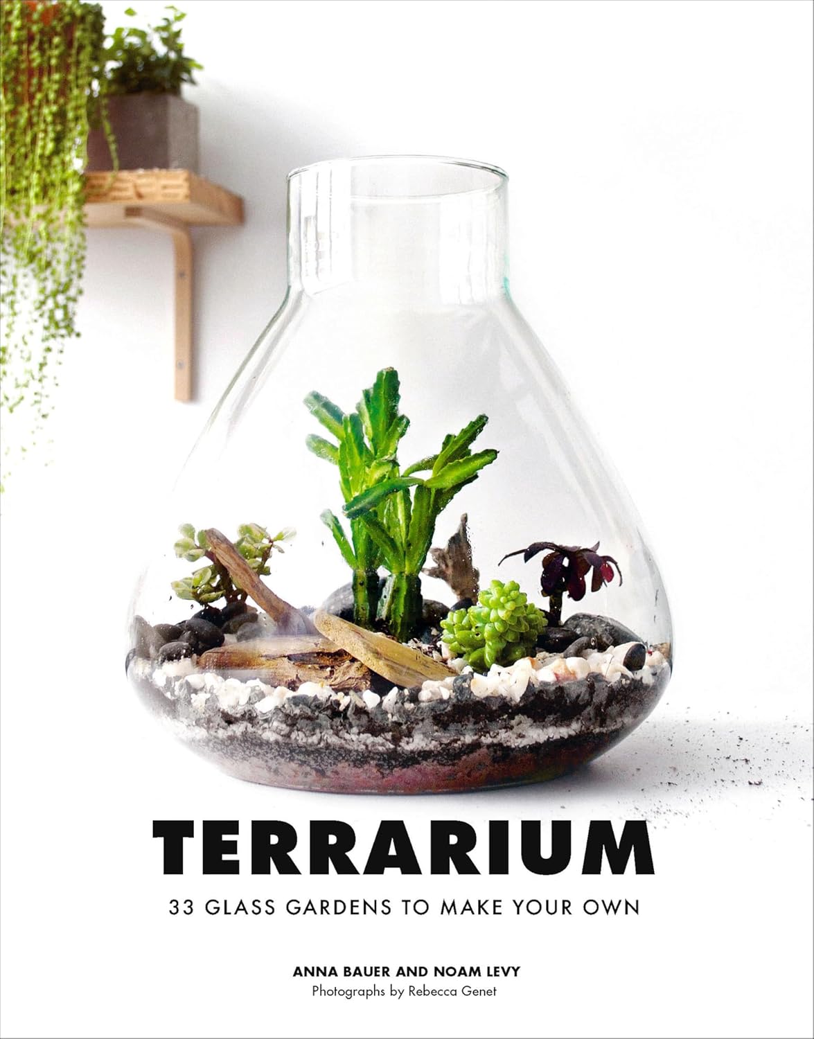 Terrarium: 33 Glass Gardens to Make Your Own (English Edition)
