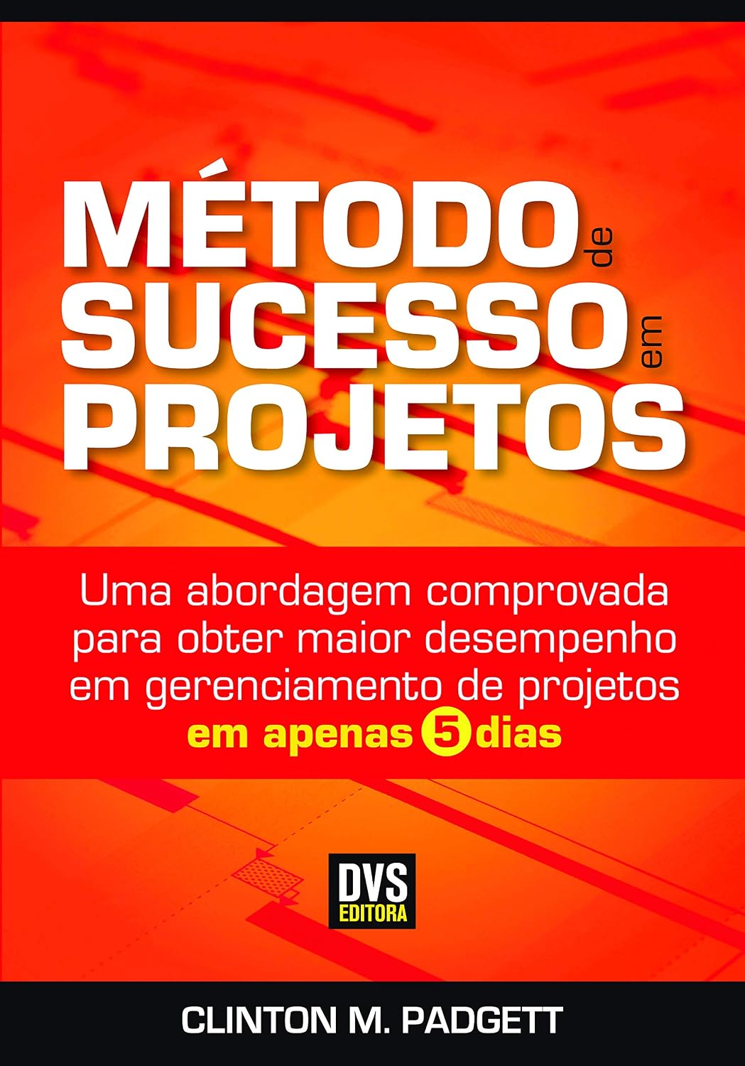 Método de Sucesso em Projetos baixar livro de graça