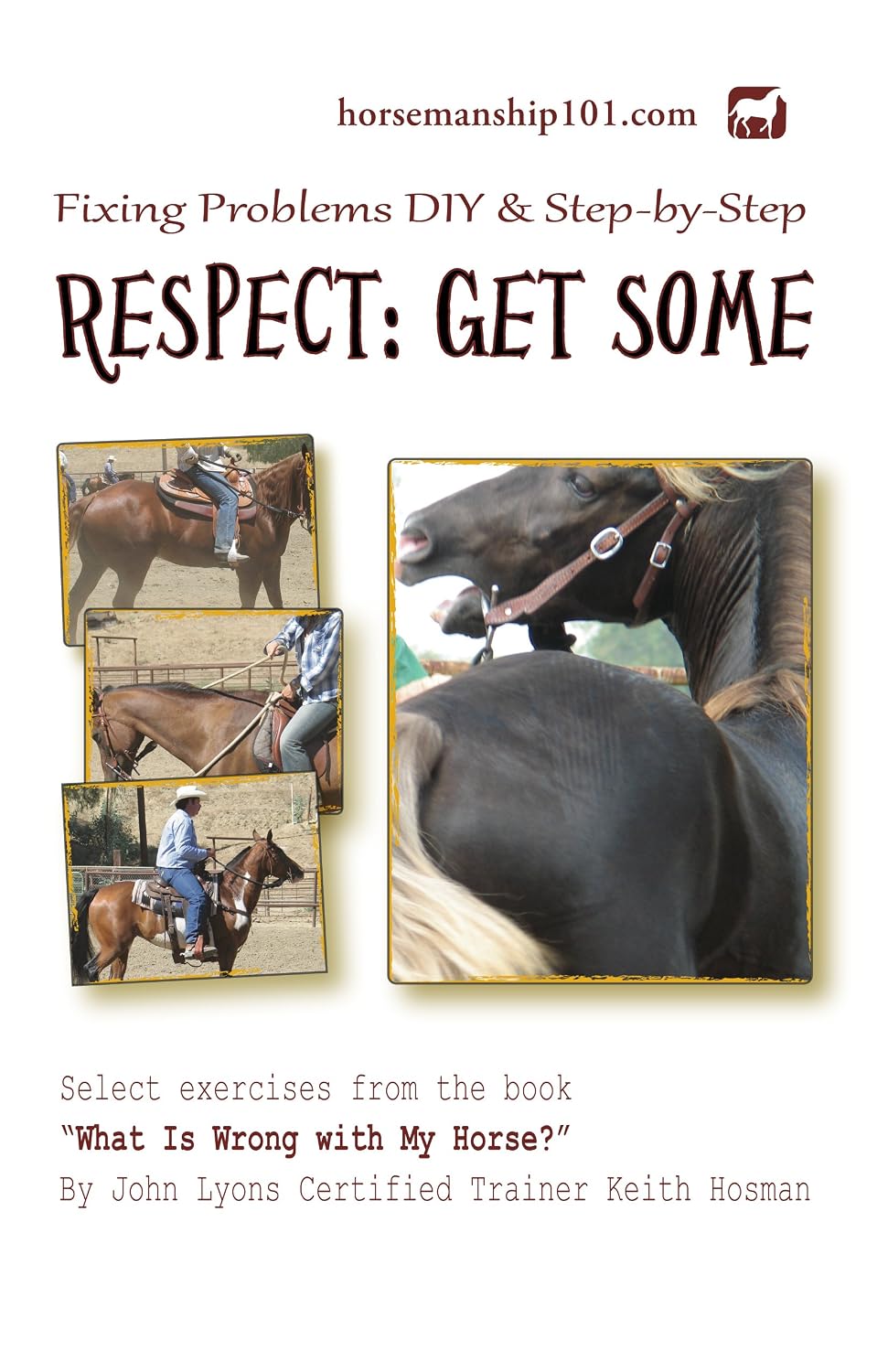 Respect: Get Some (What Is Wrong with My Horse? Book 2) (English Edition) baixar livro de graça