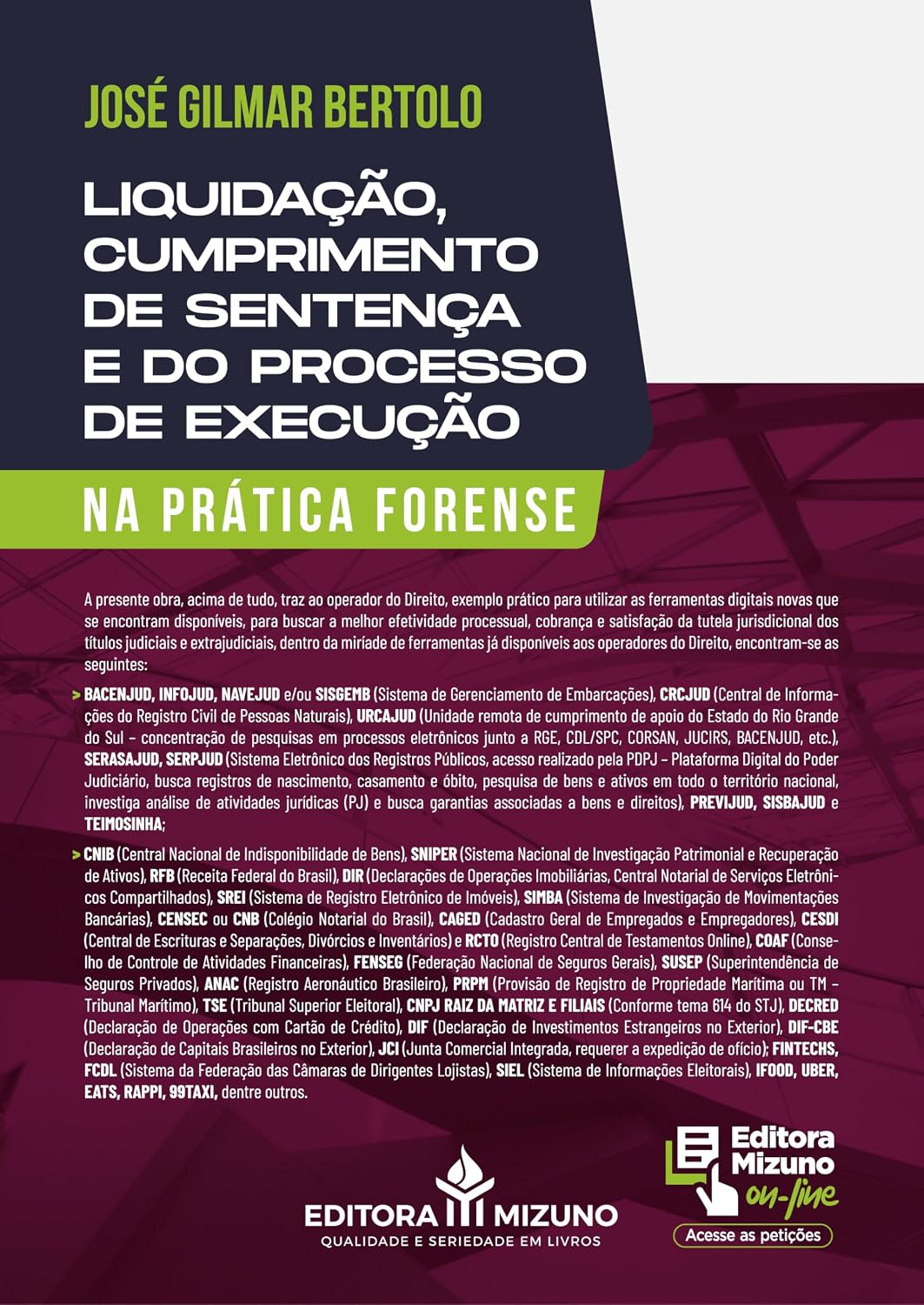 Liquidação, Cumprimento de Sentença e do Processo de Execução na Prática Forense baixar livro de graça