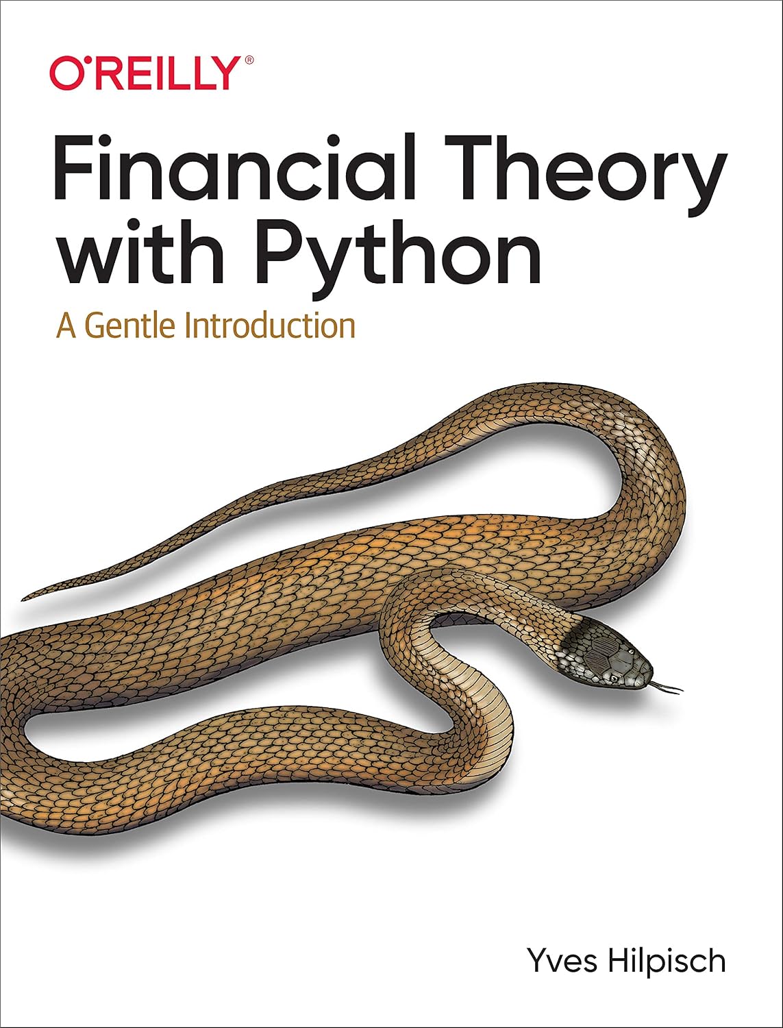 ler totalmente Financial Theory with Python: A Gentle Introduction