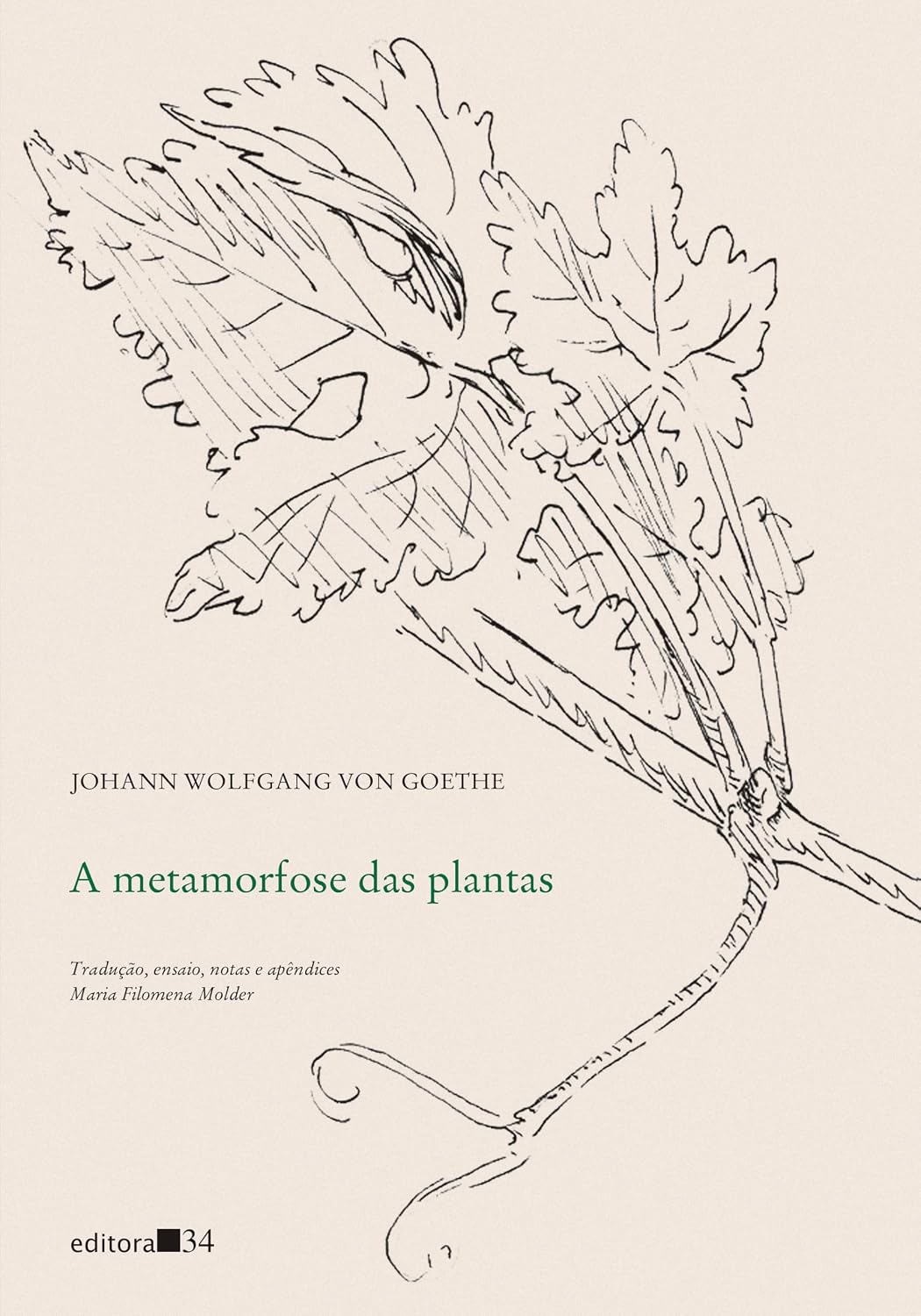 A metamorfose das plantas