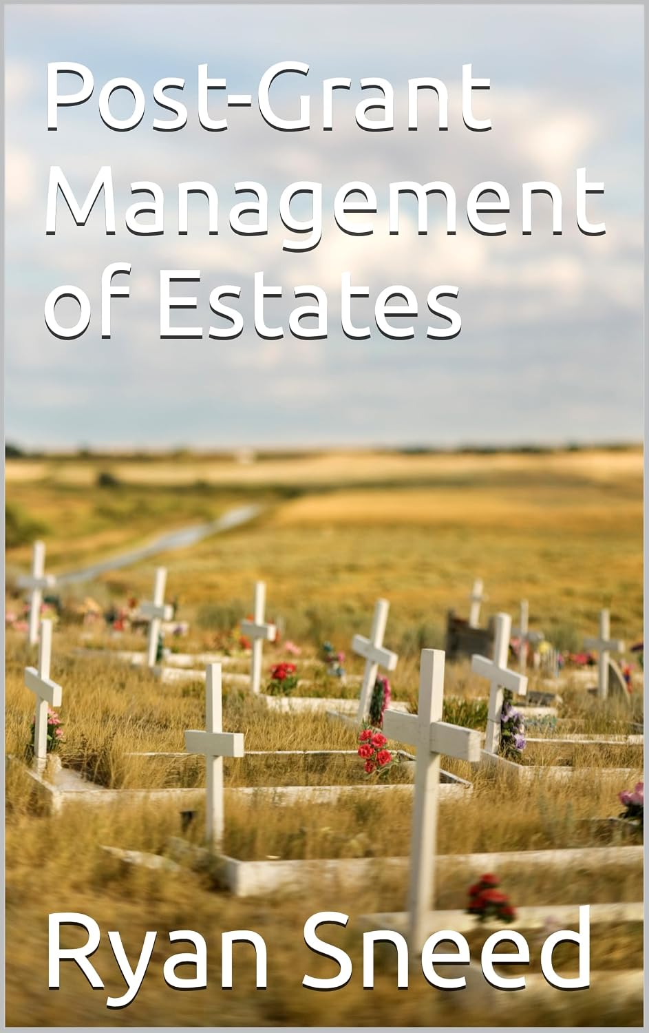 Post-Grant Management of Estates (English Edition) baixar livro de graça
