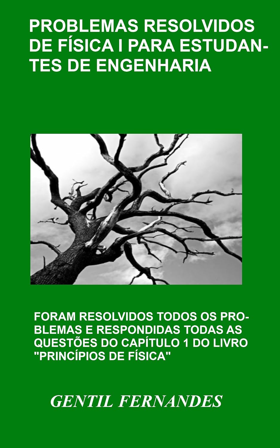 PROBLEMAS RESOLVIDOS DE FÍSICA I PARA ESTUDANTES DE ENGENHARIA baixar livro de graça