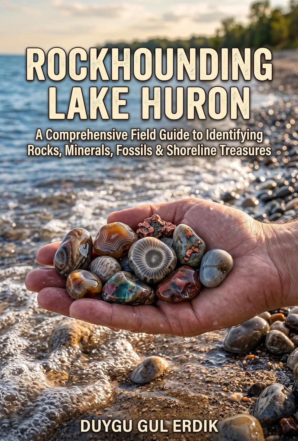 ler totalmente ROCKHOUNDING LAKE HURON: A Comprehensive Field Guide to Identifying Rocks, Minerals, Fossils & Shoreline Treasures (The Regional Rockhounding & Mineral Discovery Series) (English Edition)
