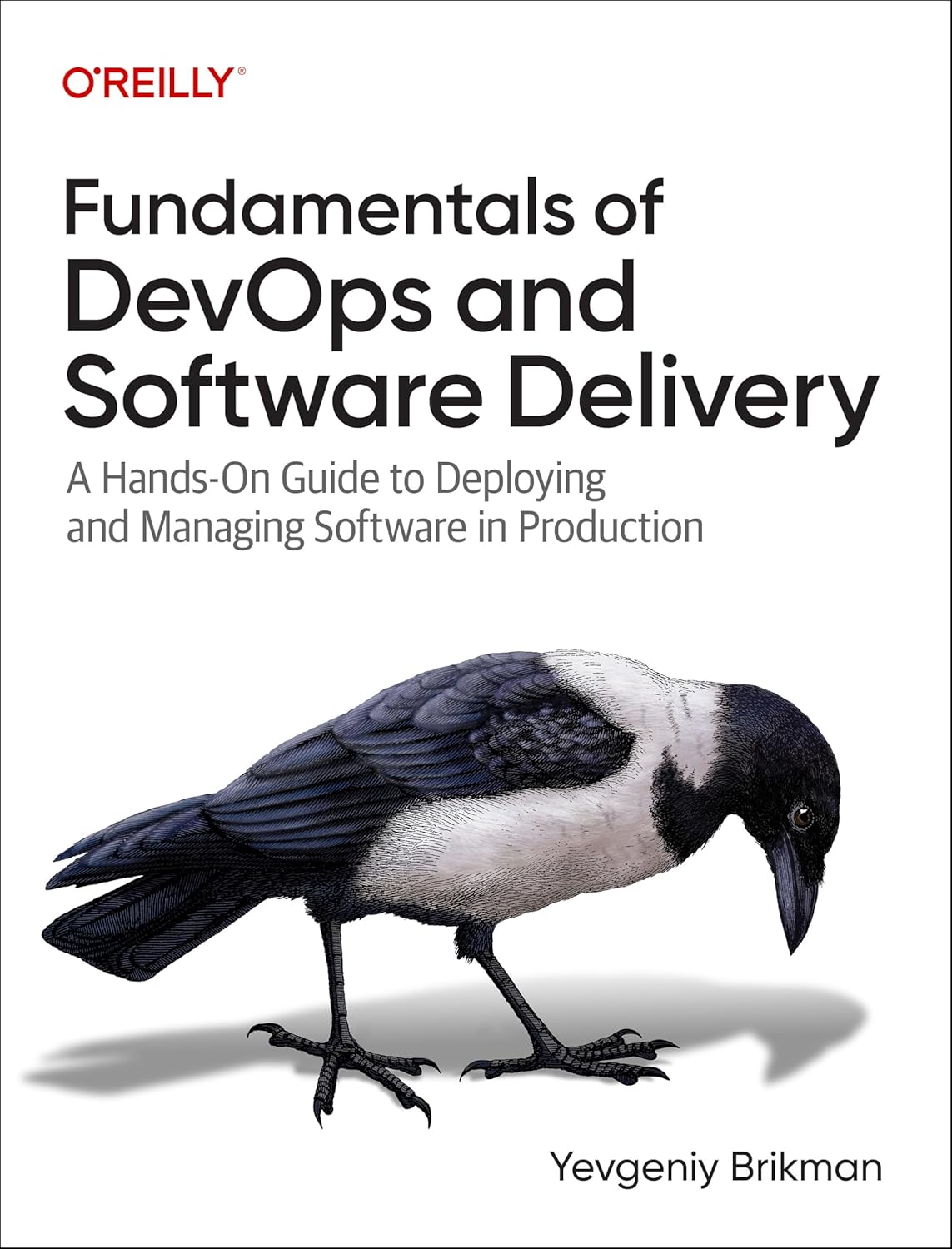capítulo por capítulo baixar Fundamentals of Devops and Software Delivery: A Hands-On Guide to Deploying and Managing Software in Production