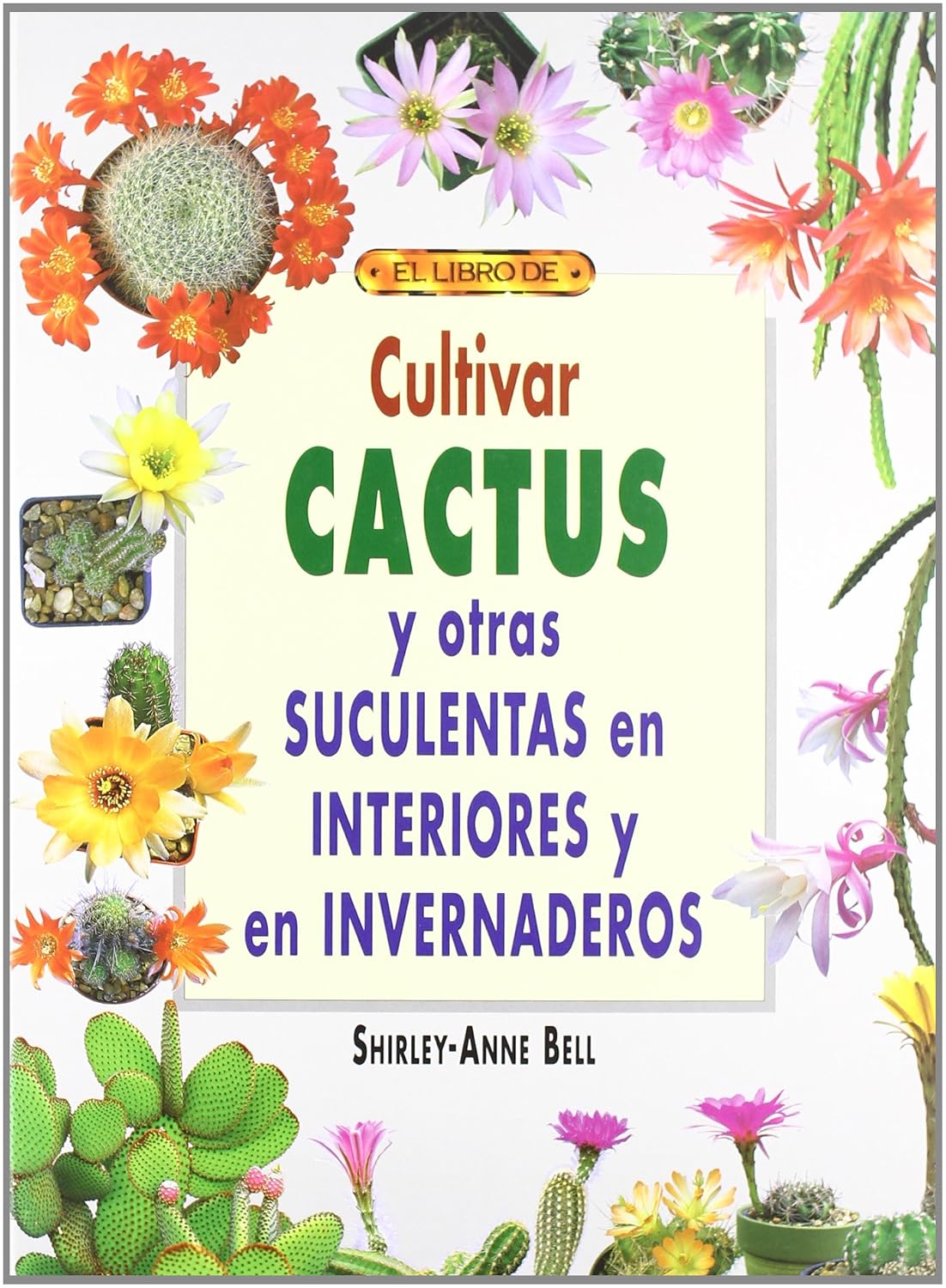 CULTIVAR CACTUS Y OTRAS SUCULENTAS EN INTERIORES E INVERNADEROS baixar livro de graça