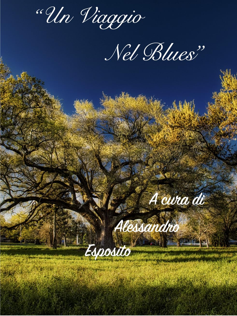 ler totalmente Un Viaggio Nel Blues (Italian Edition)
