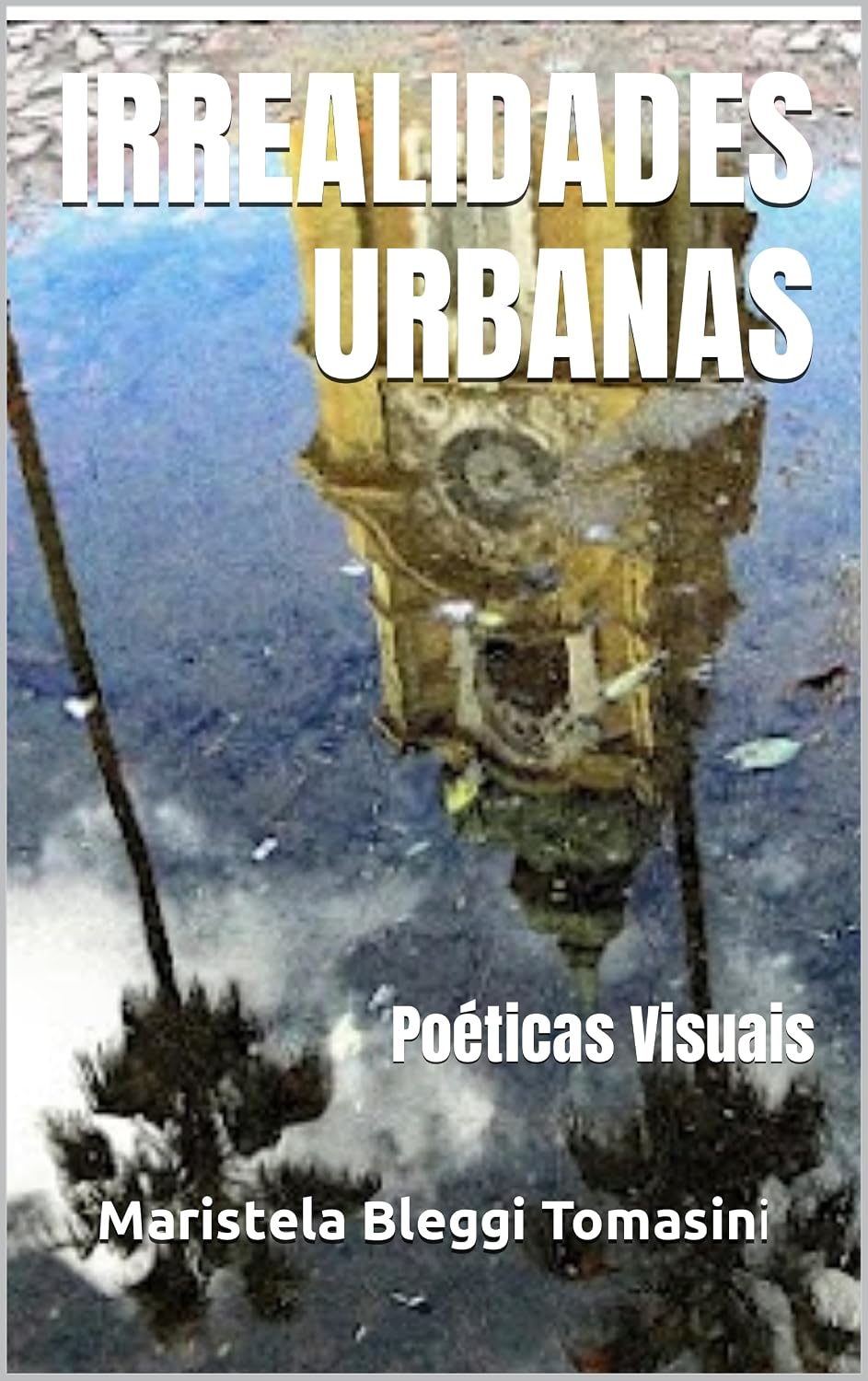 IRREALIDADES URBANAS: Poéticas Visuais (IMAGENS IMAGINADAS: Poéticas Visuais) baixar livro de graça
