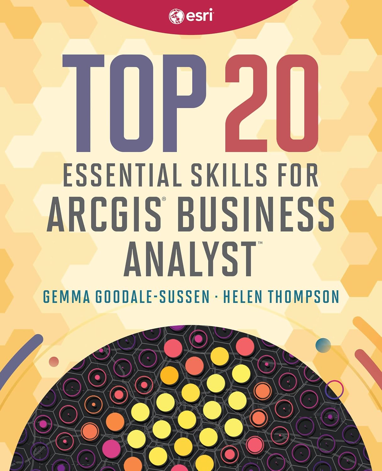 Top 20 Essential Skills for ArcGIS Business Analyst (English Edition) baixar o livro de graça