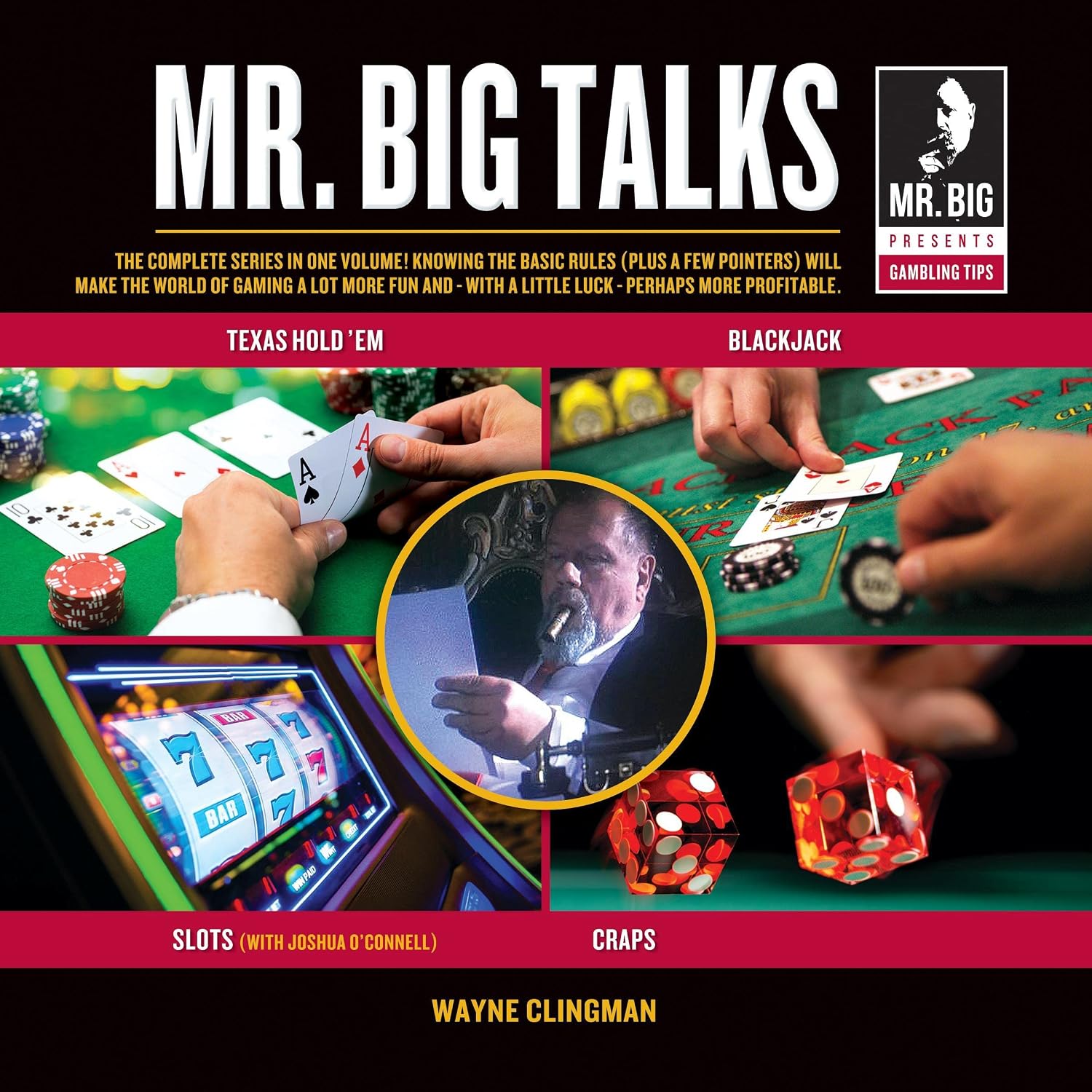 Mr. Big Talks Blackjack Craps Slots and Texas Hold Em Poker (The Basics): Mr. Big Talks baixar o livro de graça