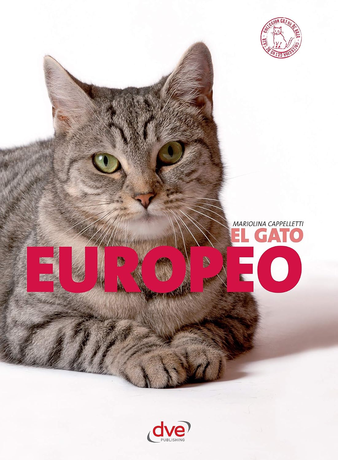 capítulo por capítulo baixar El gato Europeo (Spanish Edition)