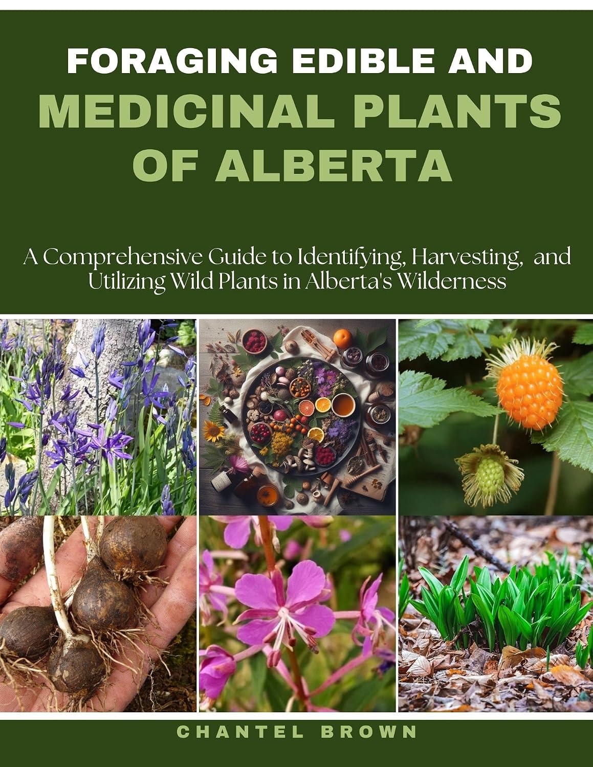 FORAGING EDIBLE AND MEDICINAL PLANTS OF ALBERTA: A Comprehensive Guide to Identifying, Harvesting, and Utilizing Wild Plants in Alberta's Wilderness (English Edition) baixar livro de graça