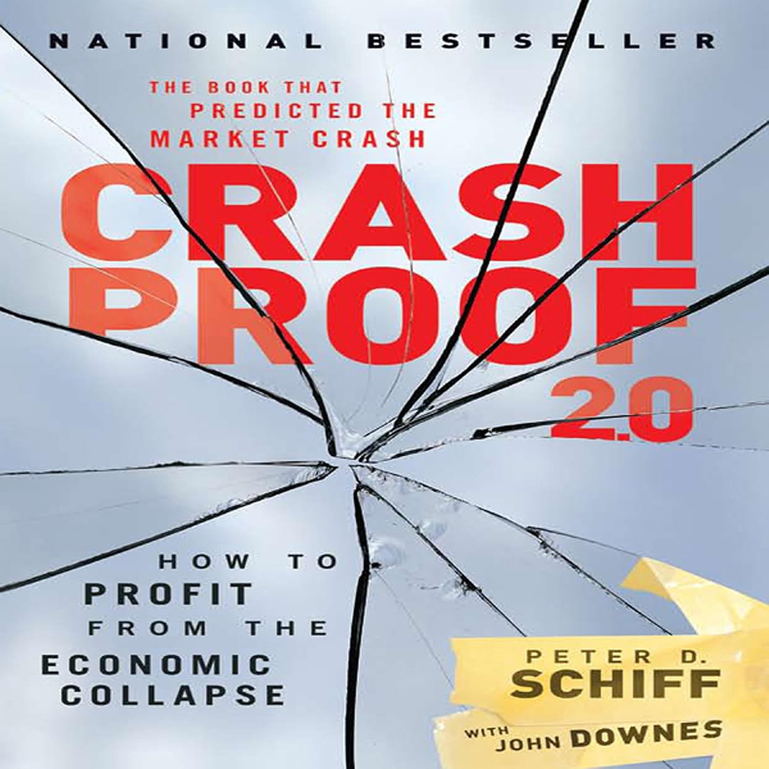Crash Proof 2.0: How to Profit from the Economic Collapse baixar livro de graça