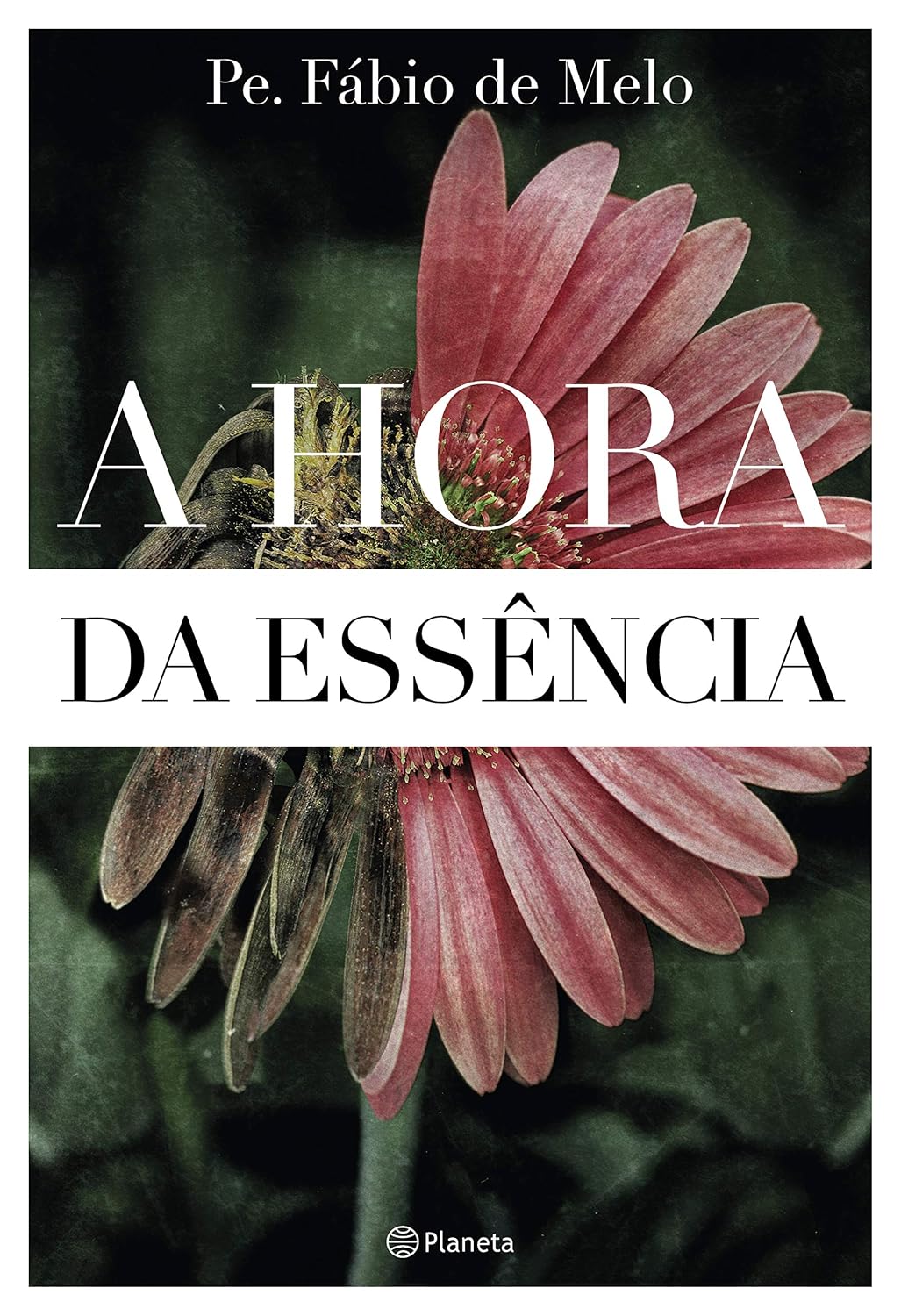 capítulo por capítulo baixar A hora da essência