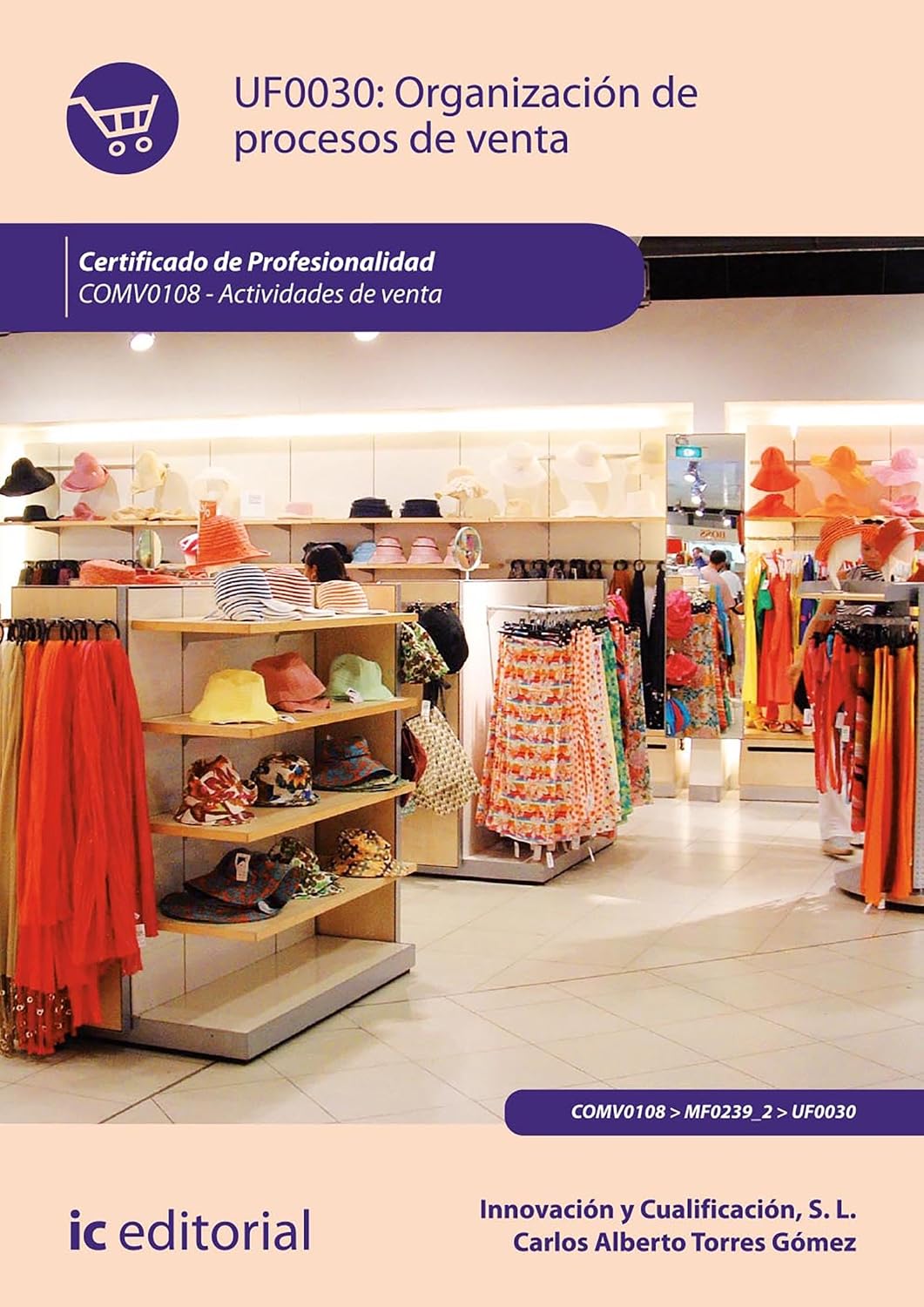 Organización de procesos de venta. COMV0108 (Spanish Edition) baixar o livro de graça