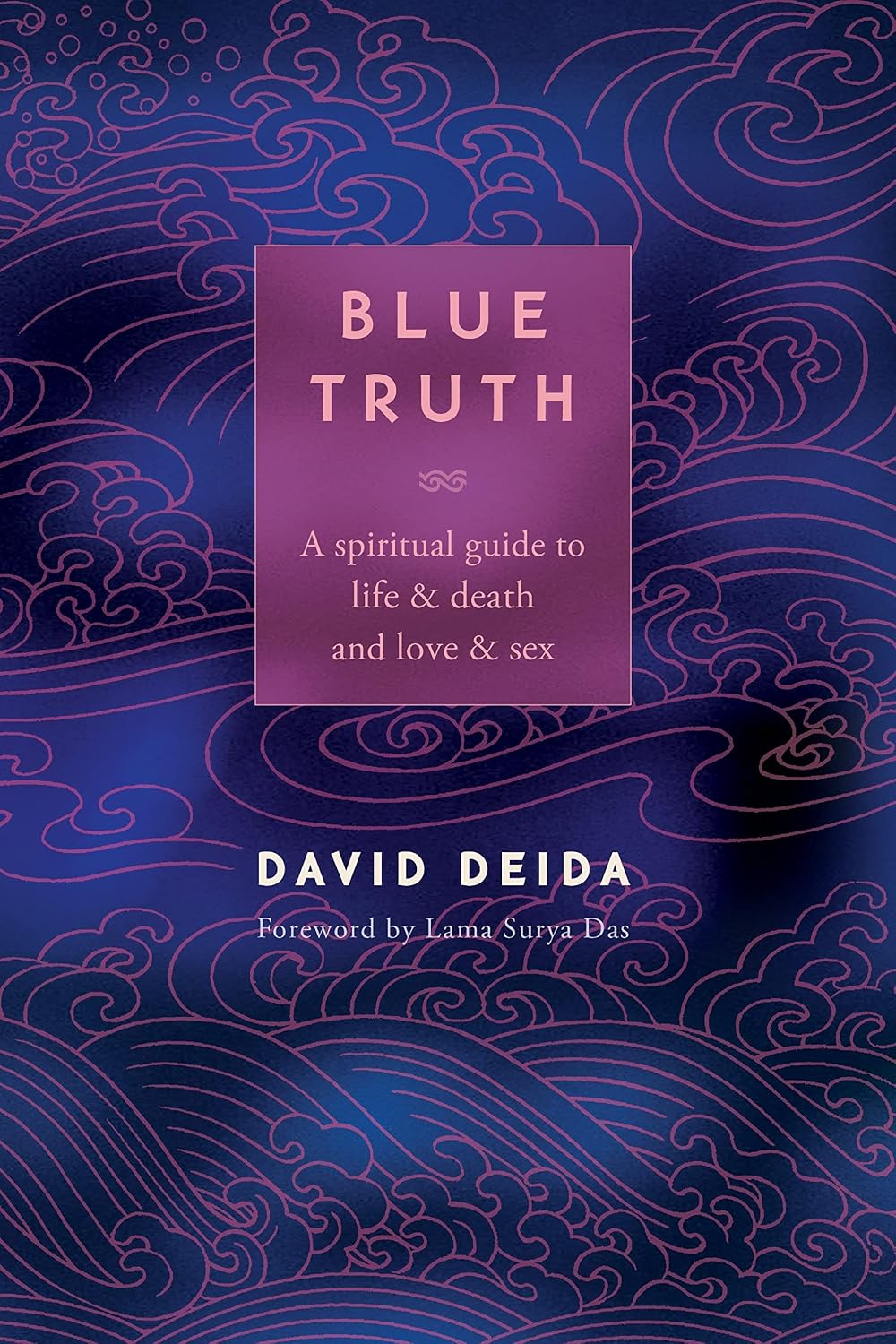 capítulo por capítulo baixar Blue Truth: A Spiritual Guide to Life & Death and Love & Sex